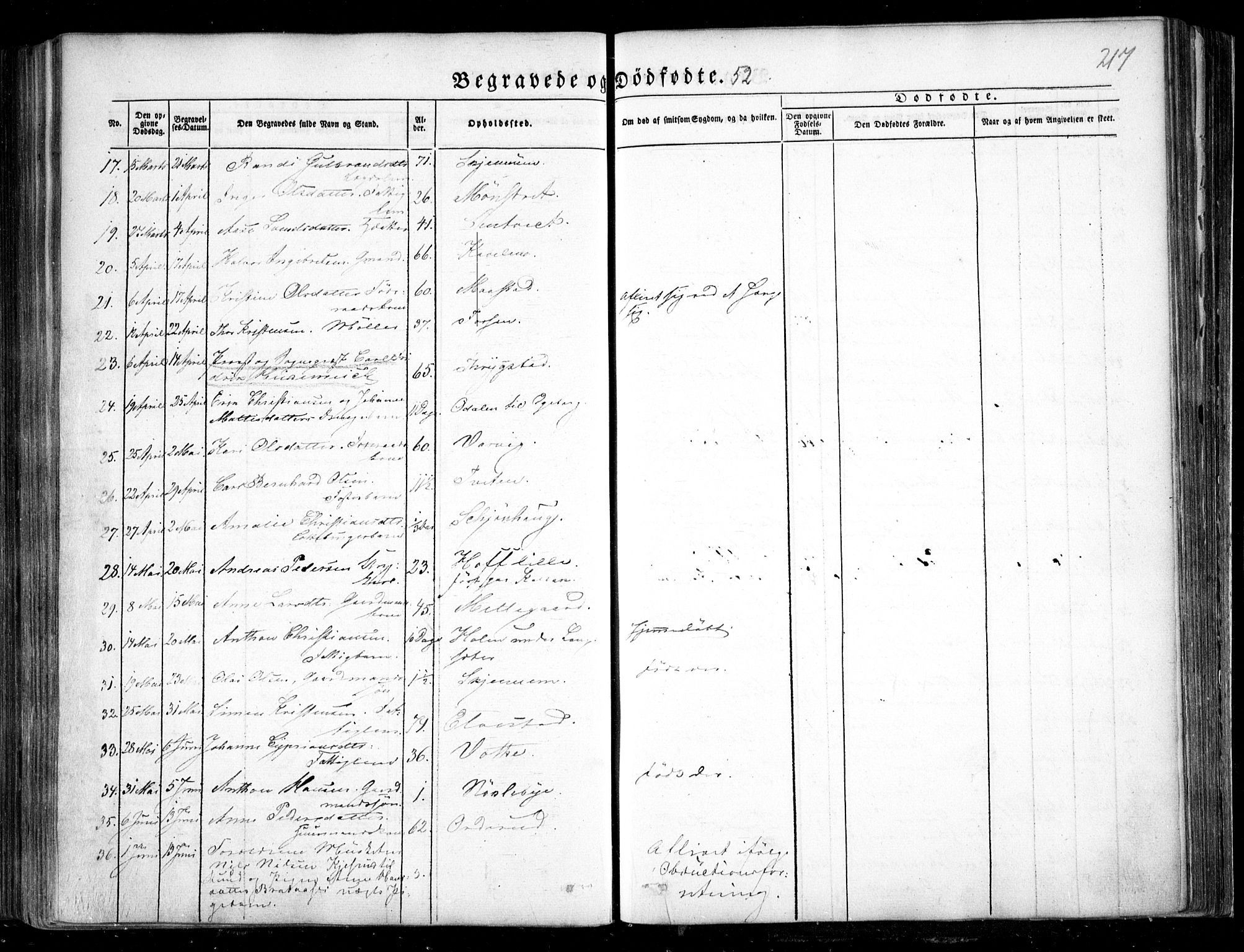 Trøgstad prestekontor Kirkebøker, AV/SAO-A-10925/F/Fa/L0007: Parish register (official) no. I 7, 1845-1854, p. 217