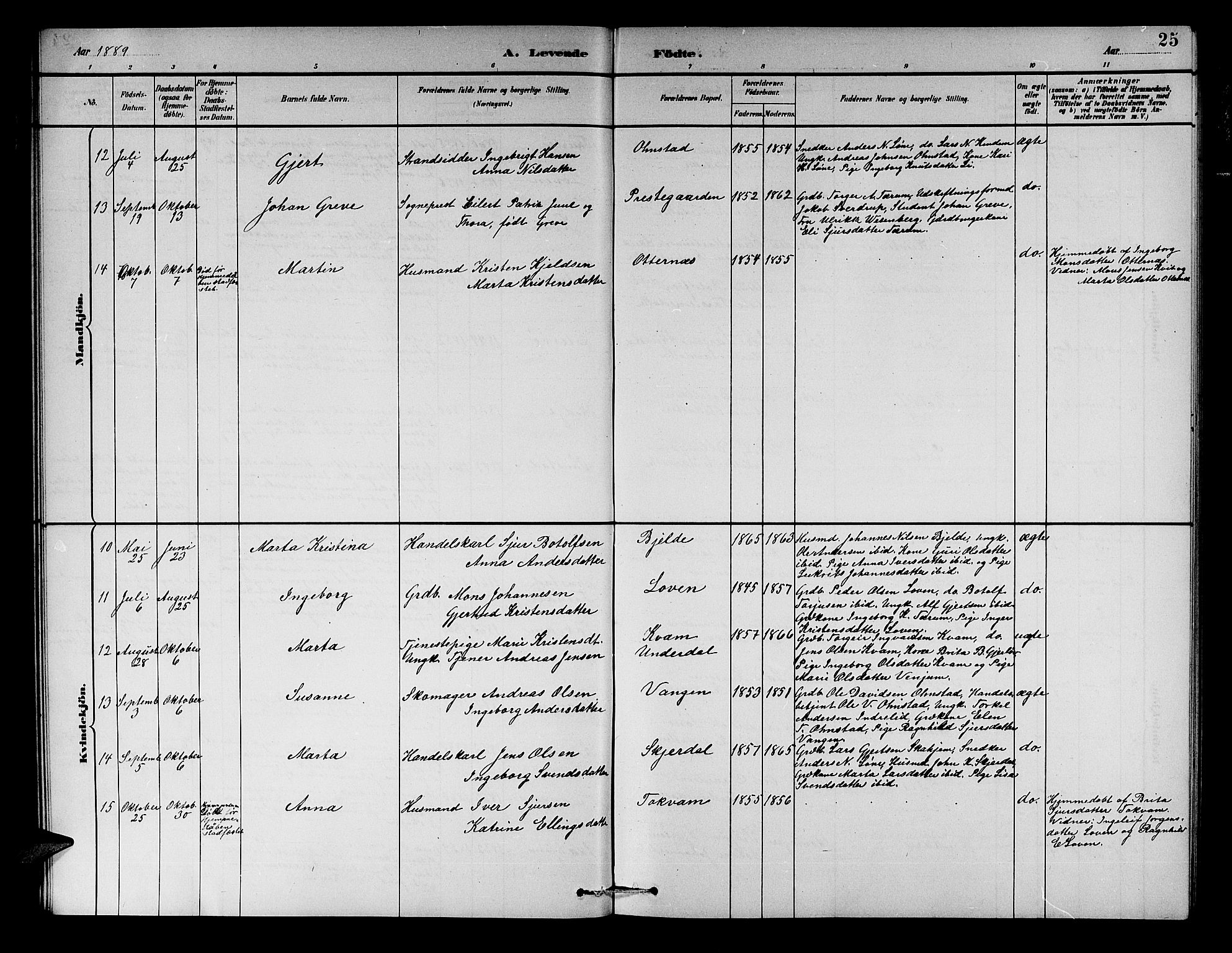 Aurland sokneprestembete, SAB/A-99937/H/Hb/Hba/L0002: Parish register (copy) no. A 2, 1880-1895, p. 25