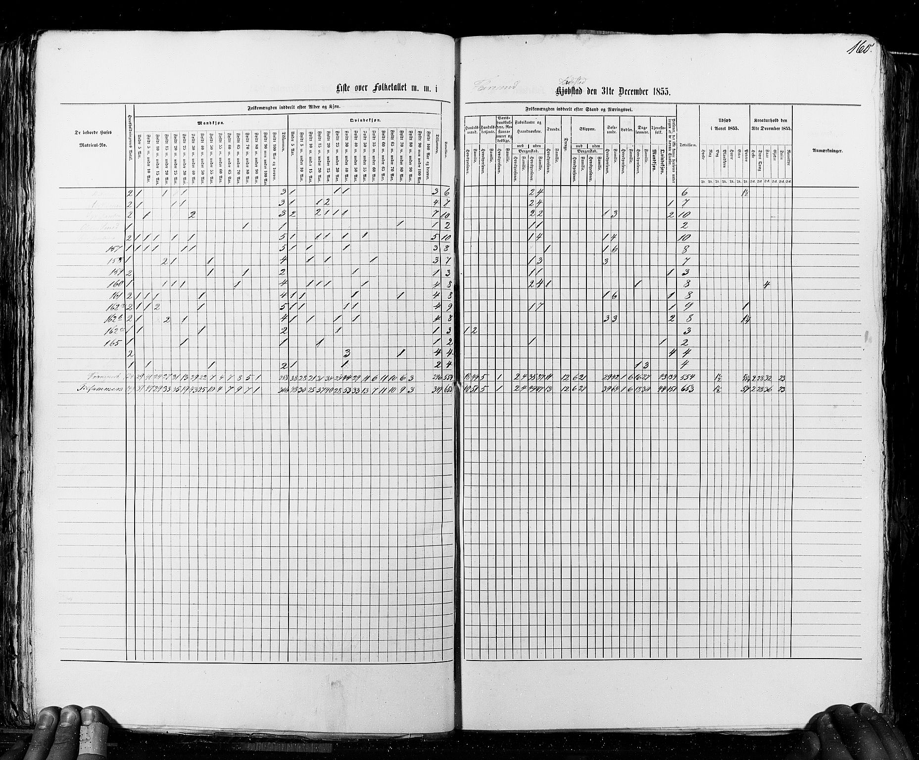 RA, Census 1855, vol. 8: Risør-Vadsø, 1855, p. 160