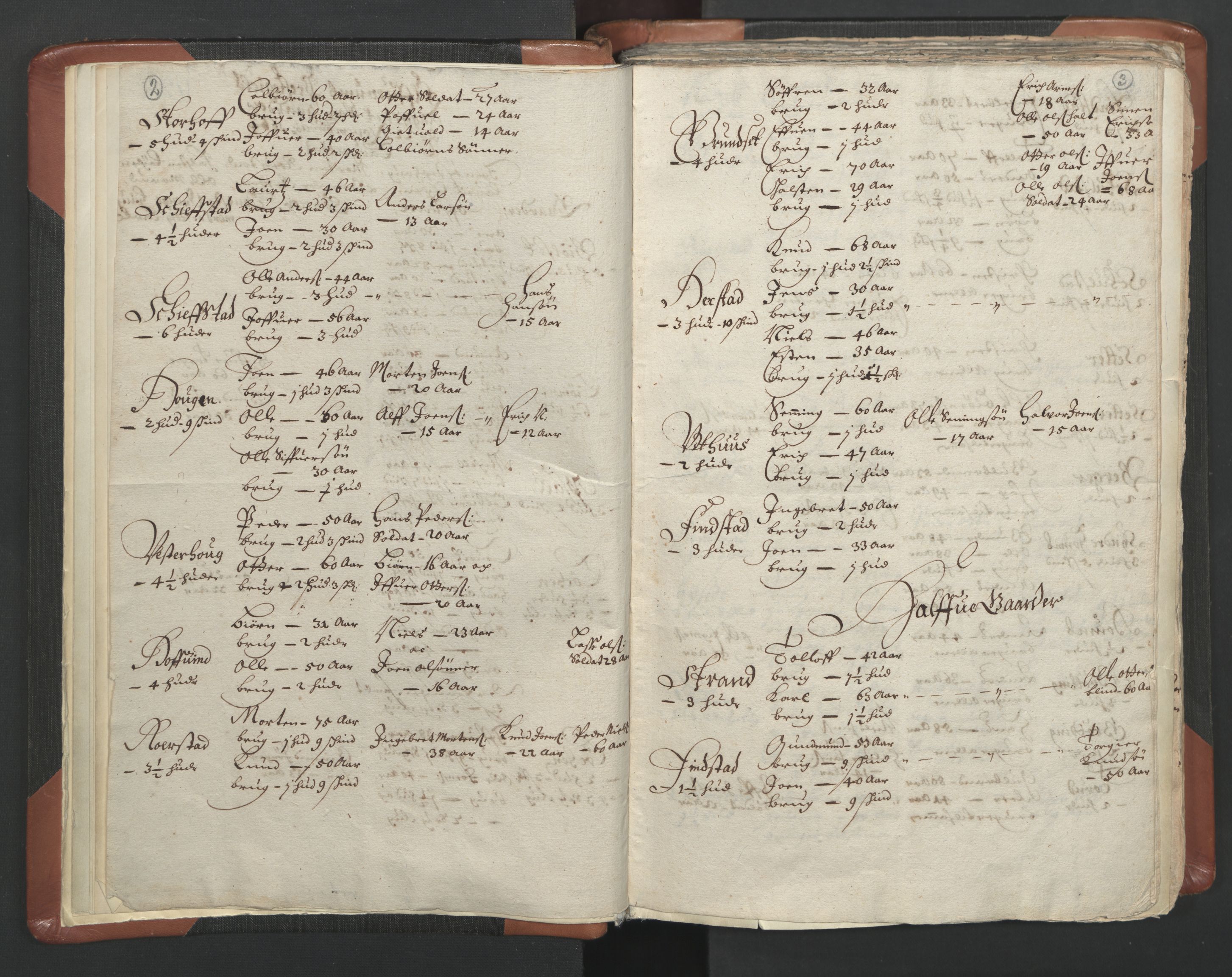 RA, Vicar's Census 1664-1666, no. 5: Hedmark deanery, 1664-1666, p. 2-3
