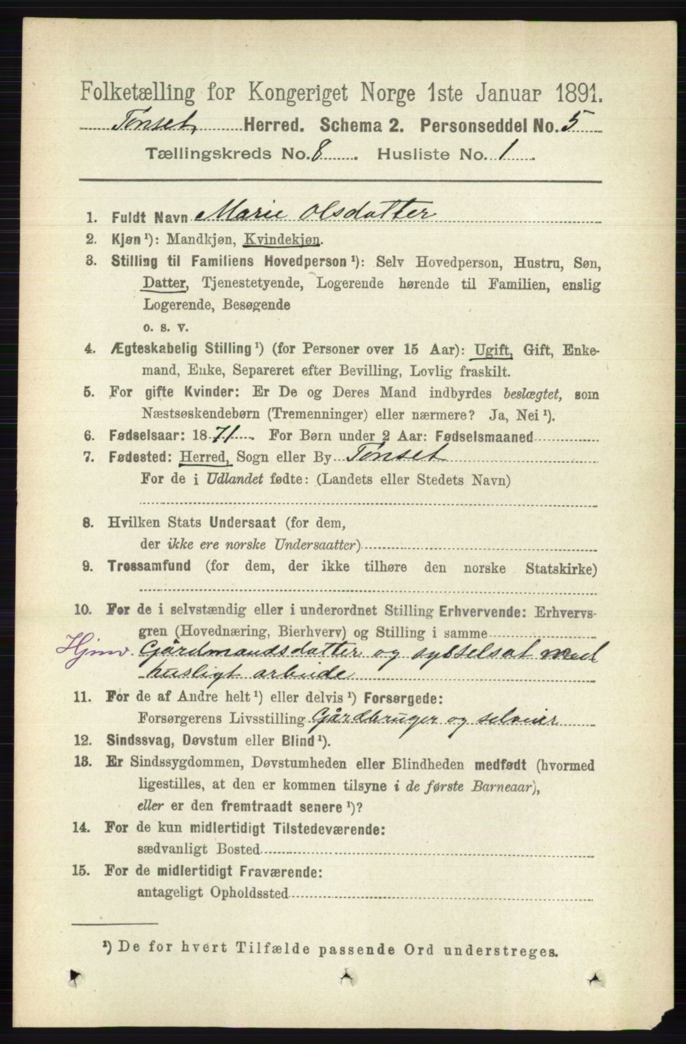 RA, 1891 census for 0437 Tynset, 1891, p. 2079