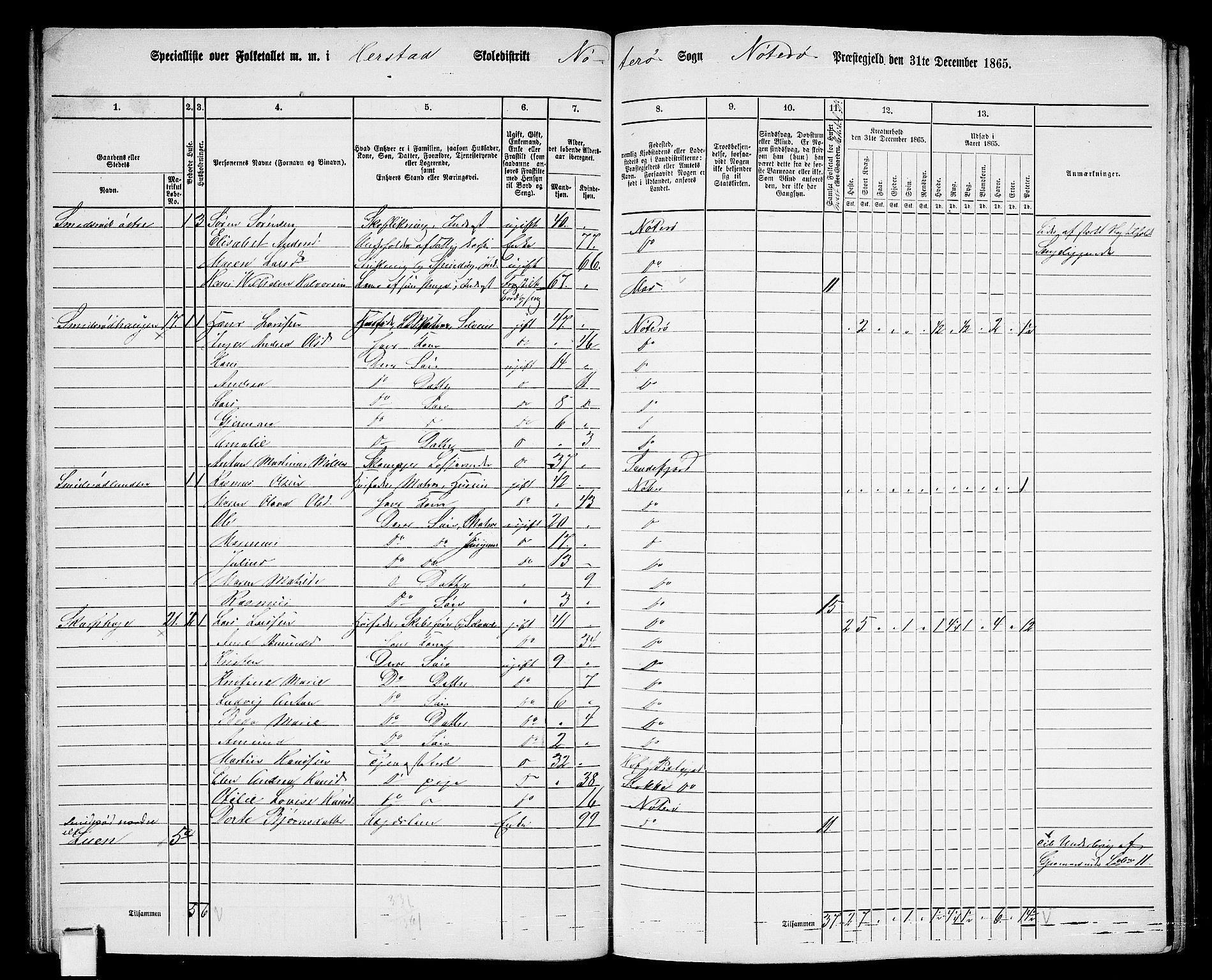 RA, 1865 census for Nøtterøy, 1865, p. 50