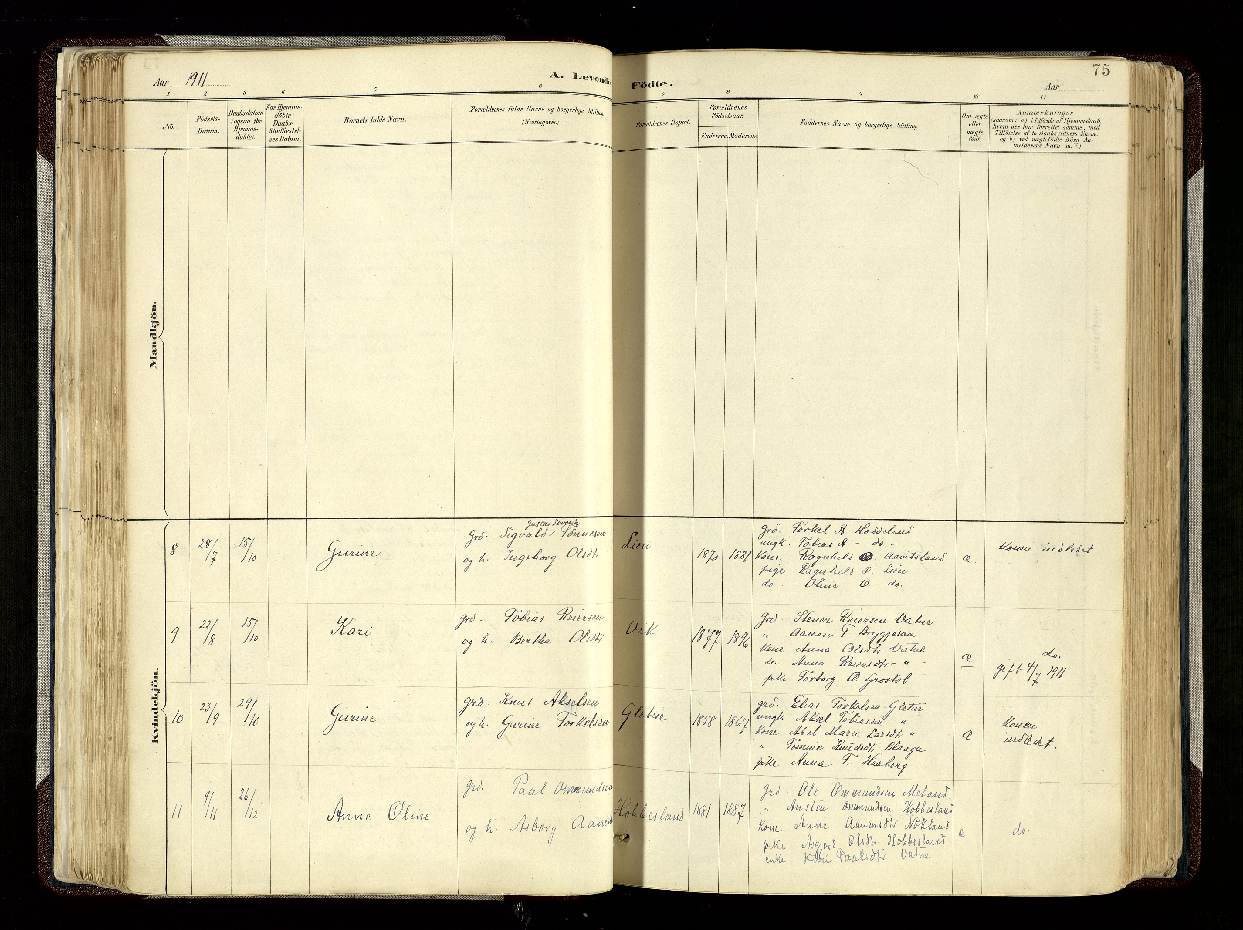 Hægebostad sokneprestkontor, SAK/1111-0024/F/Fa/Fab/L0004: Parish register (official) no. A 4, 1887-1929, p. 75