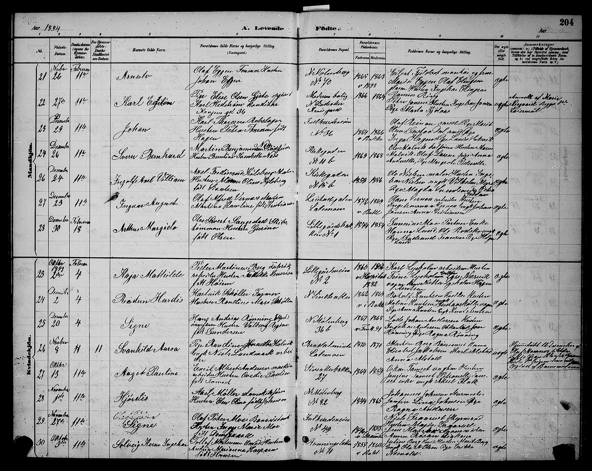 Ministerialprotokoller, klokkerbøker og fødselsregistre - Sør-Trøndelag, SAT/A-1456/604/L0222: Parish register (copy) no. 604C05, 1886-1895, p. 204