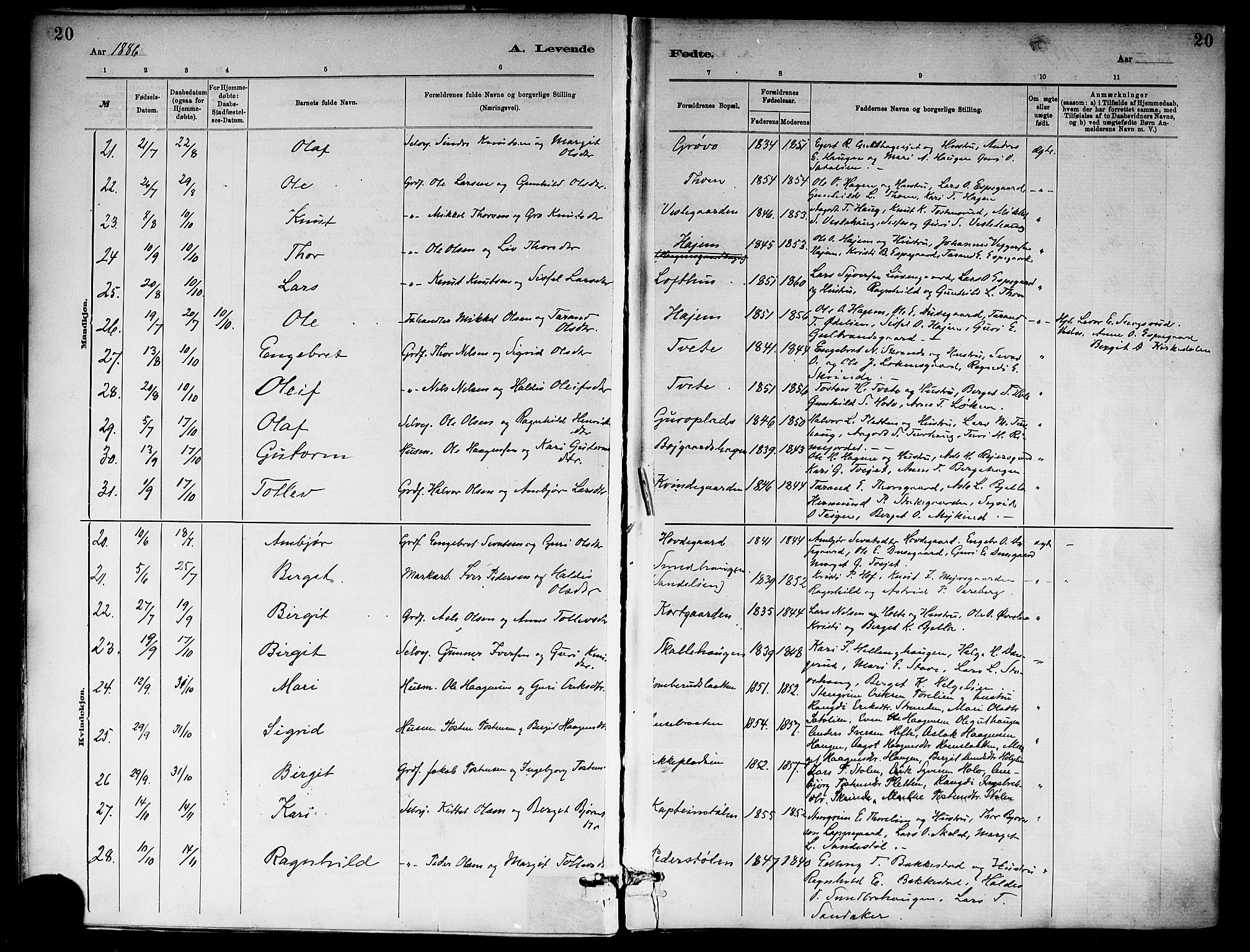 Ål kirkebøker, AV/SAKO-A-249/F/Fa/L0008: Parish register (official) no. I 8, 1882-1896, p. 20