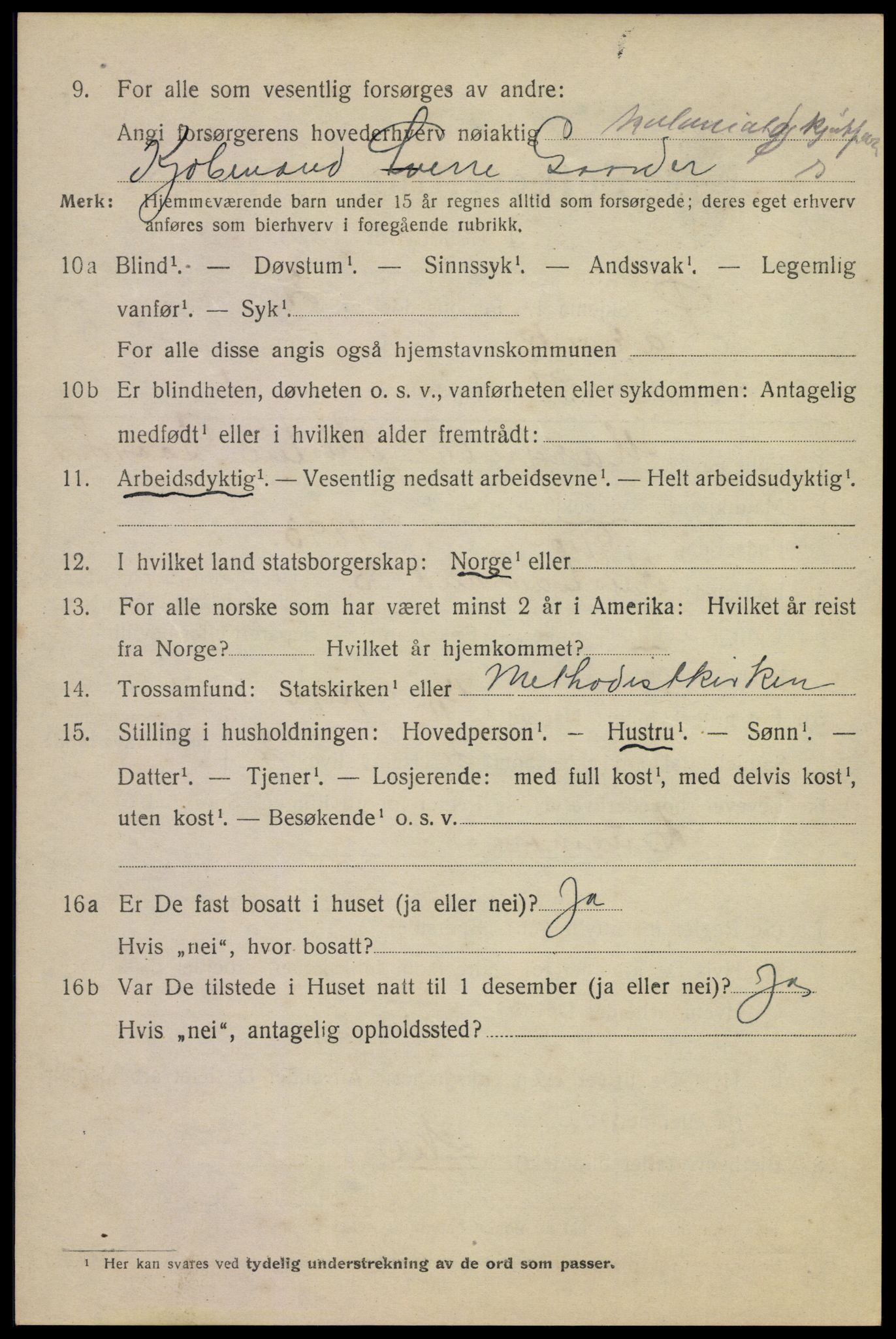 SAKO, 1920 census for Larvik, 1920, p. 17679