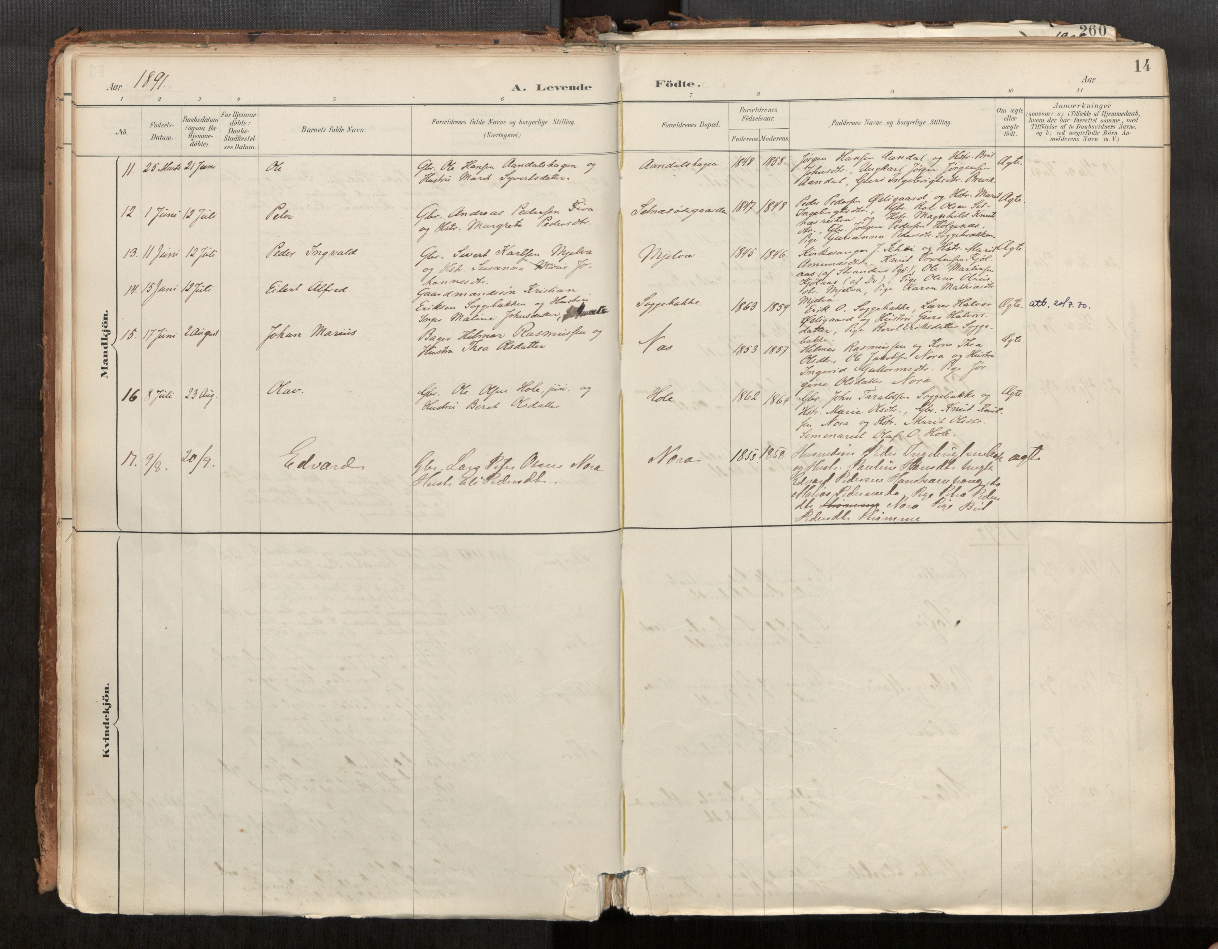 Ministerialprotokoller, klokkerbøker og fødselsregistre - Møre og Romsdal, AV/SAT-A-1454/544/L0585: Parish register (official) no. 544A06, 1887-1924, p. 14