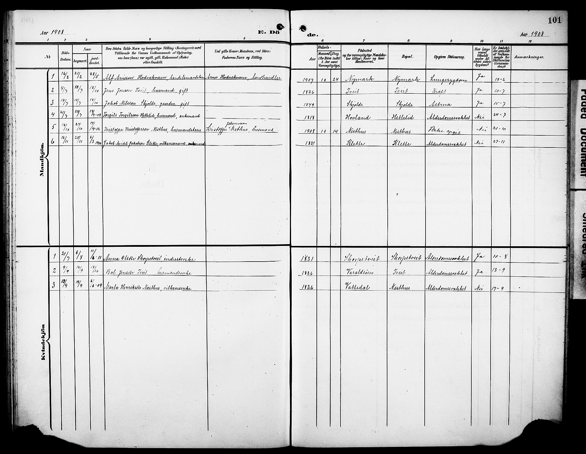 Tysnes sokneprestembete, SAB/A-78601/H/Hab: Parish register (copy) no. C 3, 1908-1924, p. 101