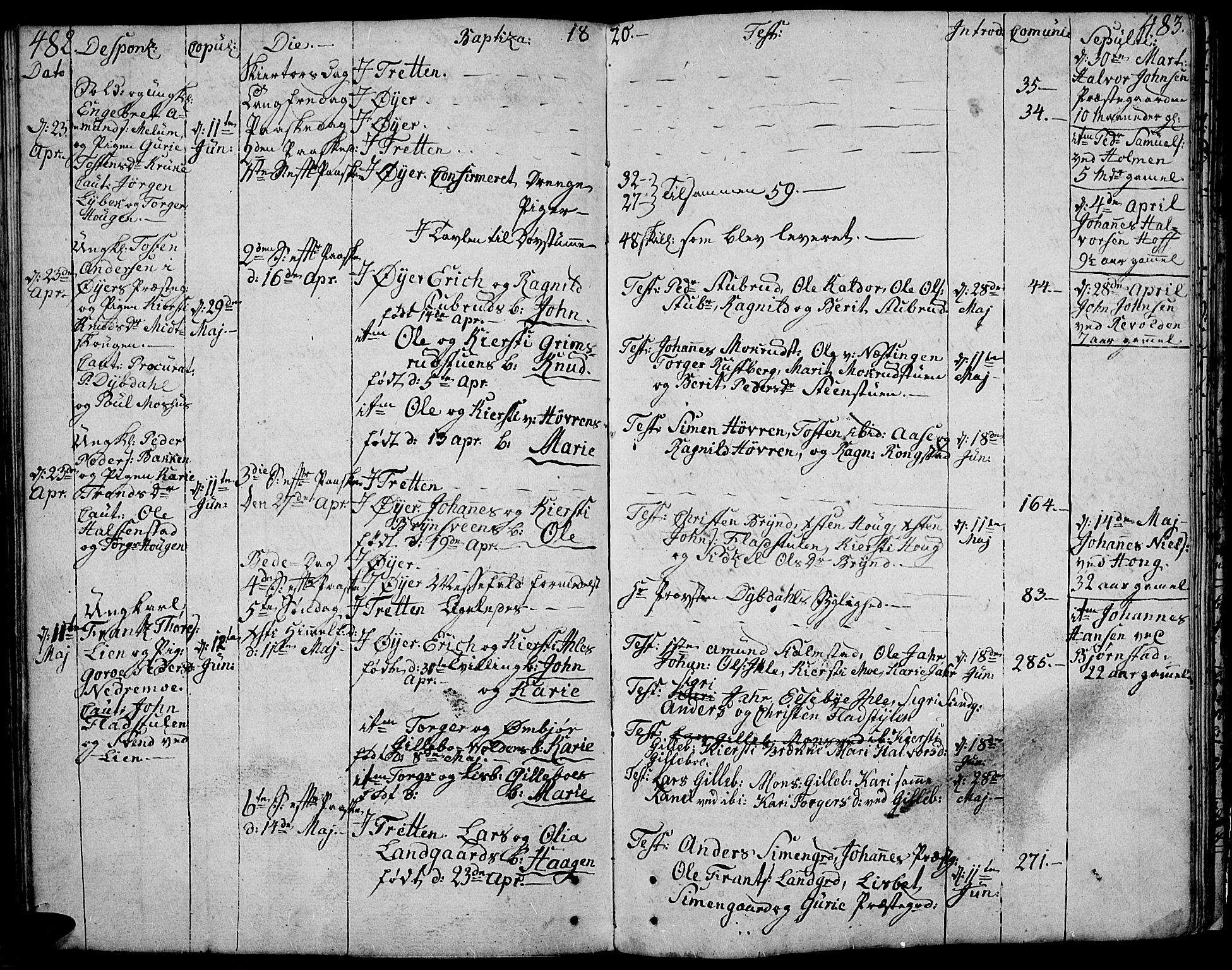 Øyer prestekontor, SAH/PREST-084/H/Ha/Haa/L0003: Parish register (official) no. 3, 1784-1824, p. 482-483