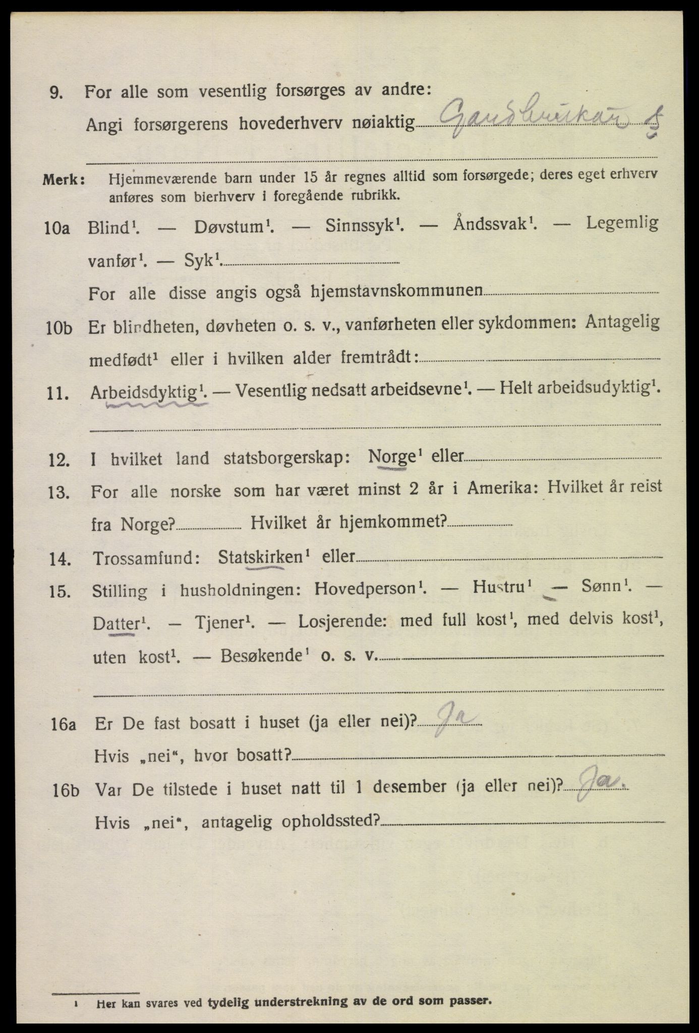 SAK, 1920 census for Nes (V-A), 1920, p. 1539