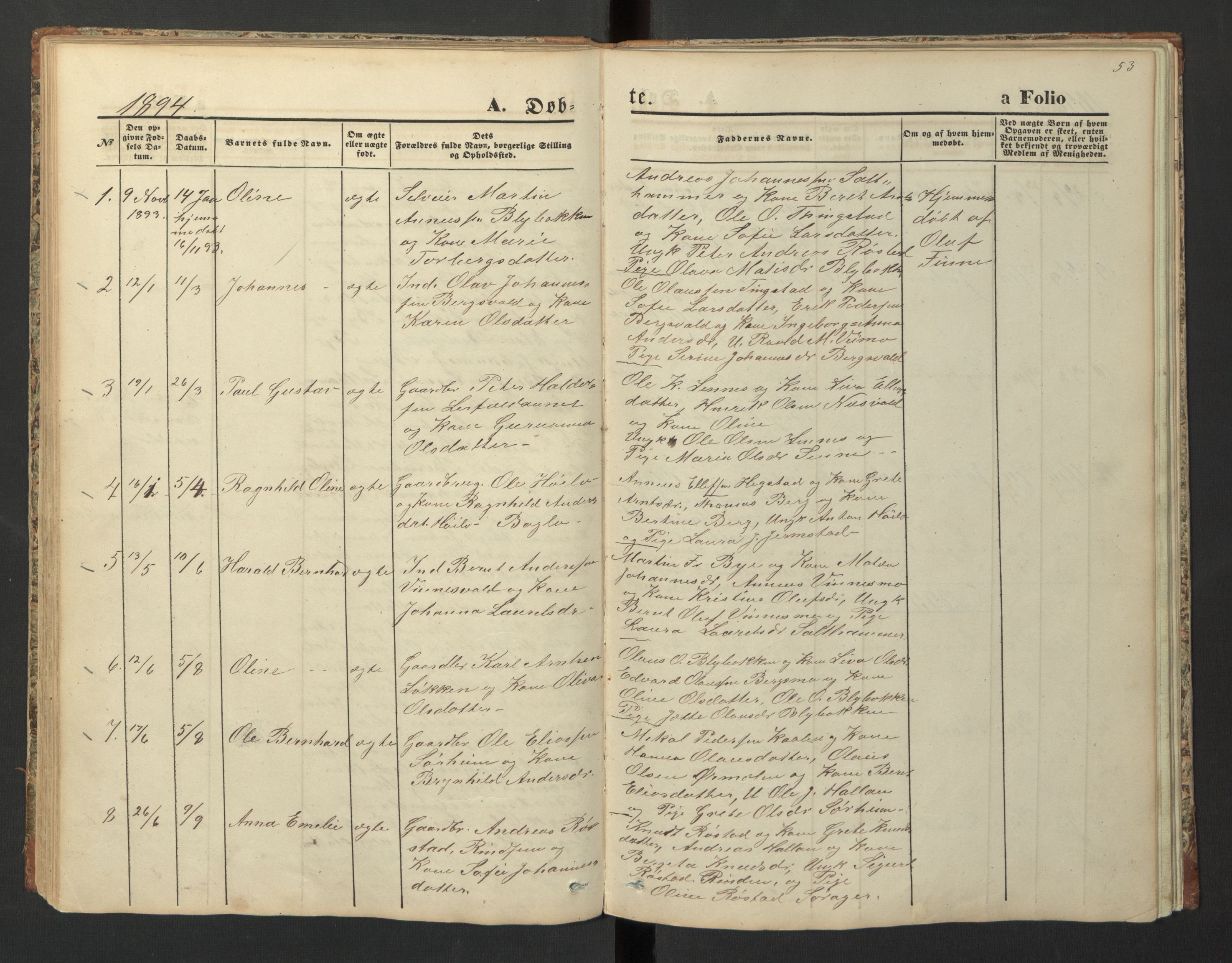 Ministerialprotokoller, klokkerbøker og fødselsregistre - Nord-Trøndelag, SAT/A-1458/726/L0271: Parish register (copy) no. 726C02, 1869-1897, p. 53