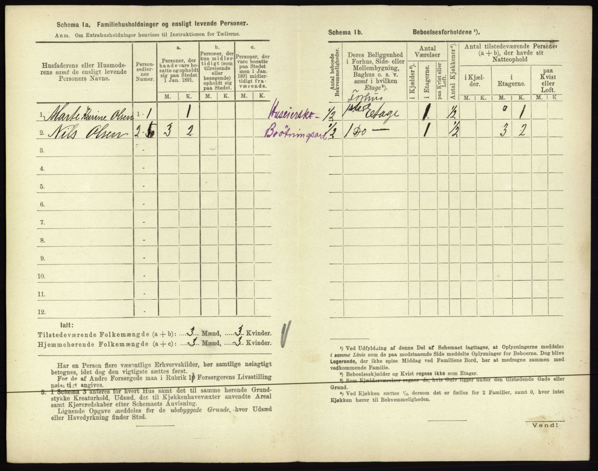 RA, 1891 census for 0601 Hønefoss, 1891, p. 350