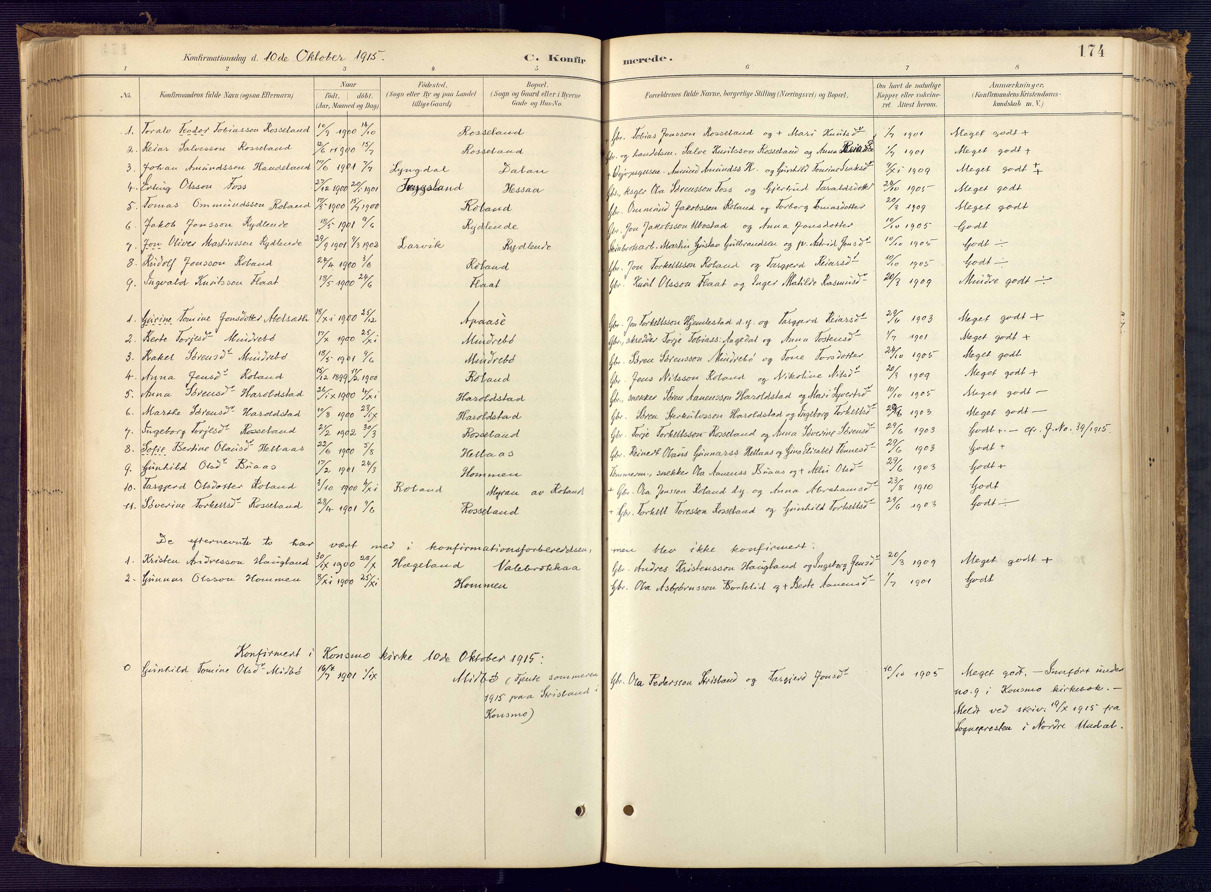 Bjelland sokneprestkontor, SAK/1111-0005/F/Fa/Faa/L0004: Parish register (official) no. A 4, 1887-1923, p. 174