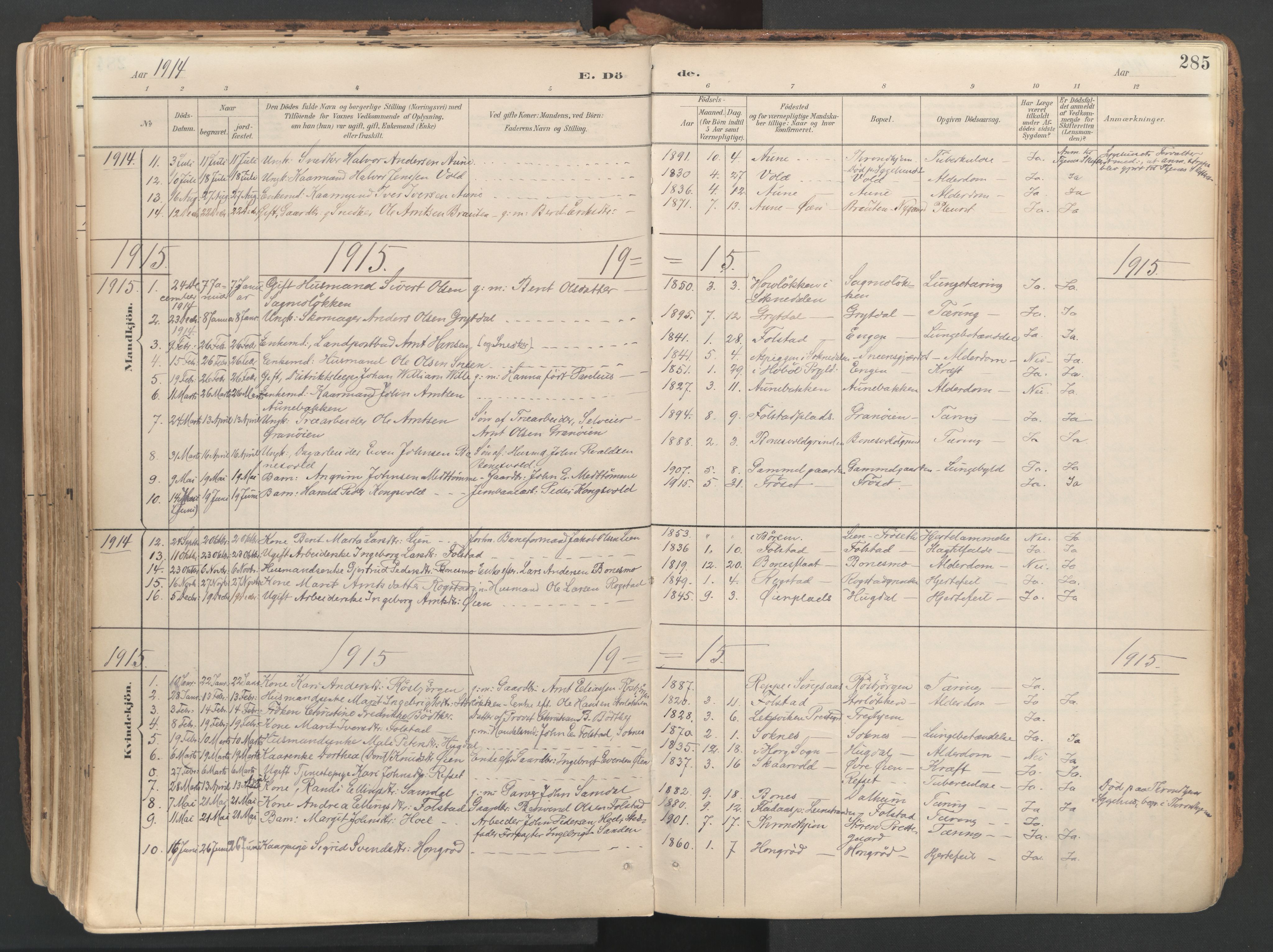 Ministerialprotokoller, klokkerbøker og fødselsregistre - Sør-Trøndelag, SAT/A-1456/687/L1004: Parish register (official) no. 687A10, 1891-1923, p. 285