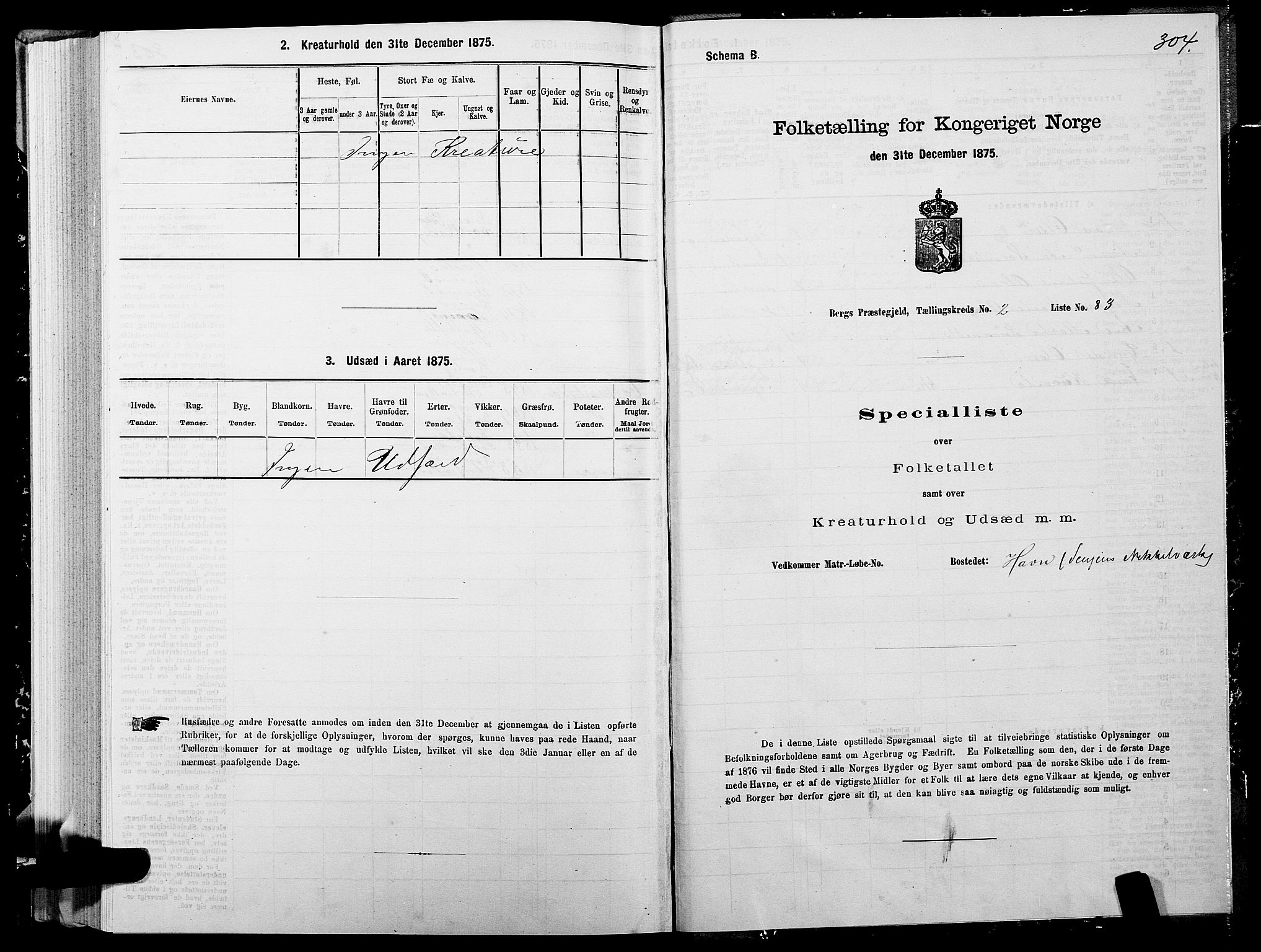 SATØ, 1875 census for 1929P Berg, 1875, p. 1304