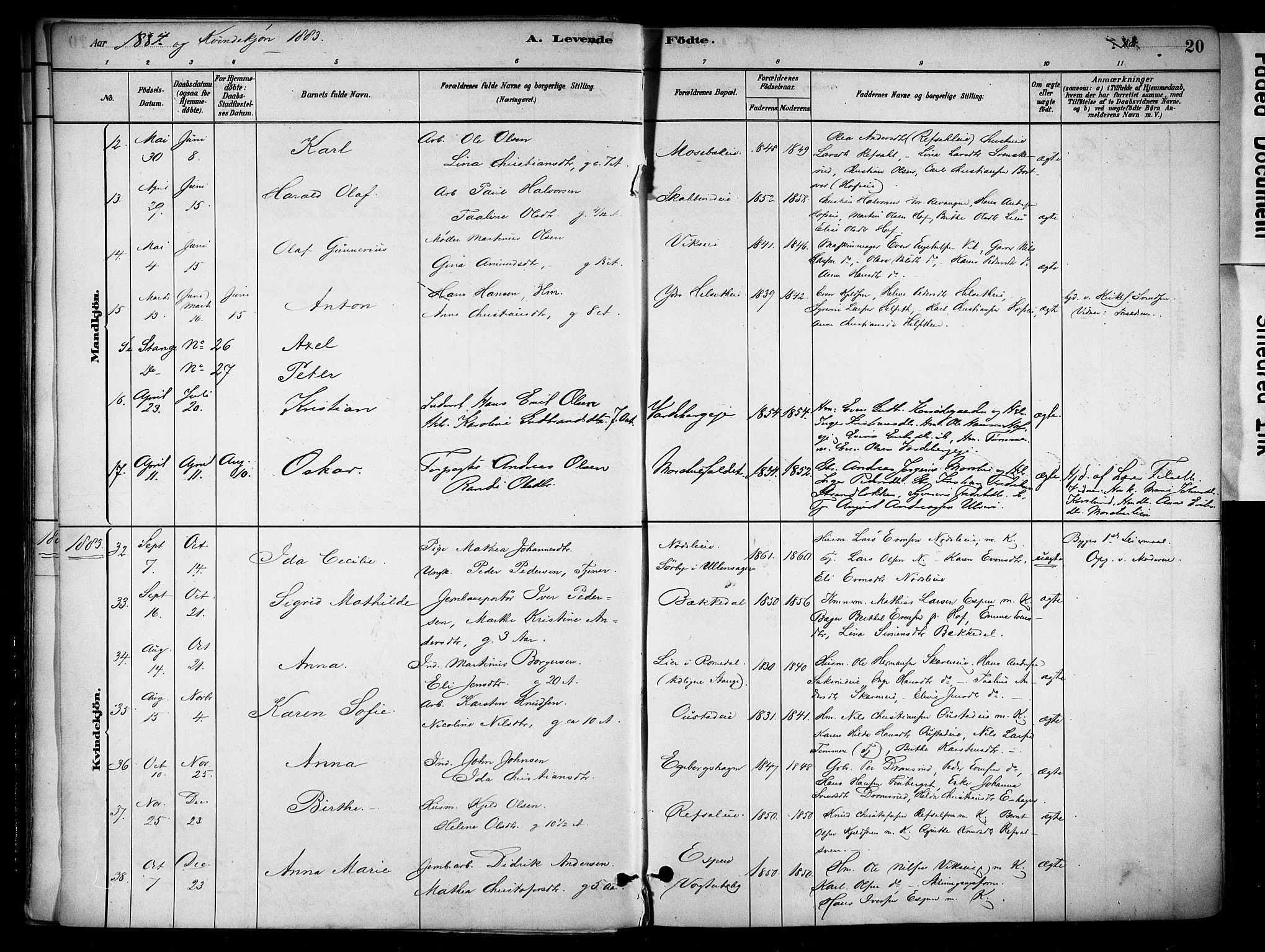 Stange prestekontor, SAH/PREST-002/K/L0018: Parish register (official) no. 18, 1880-1896, p. 20