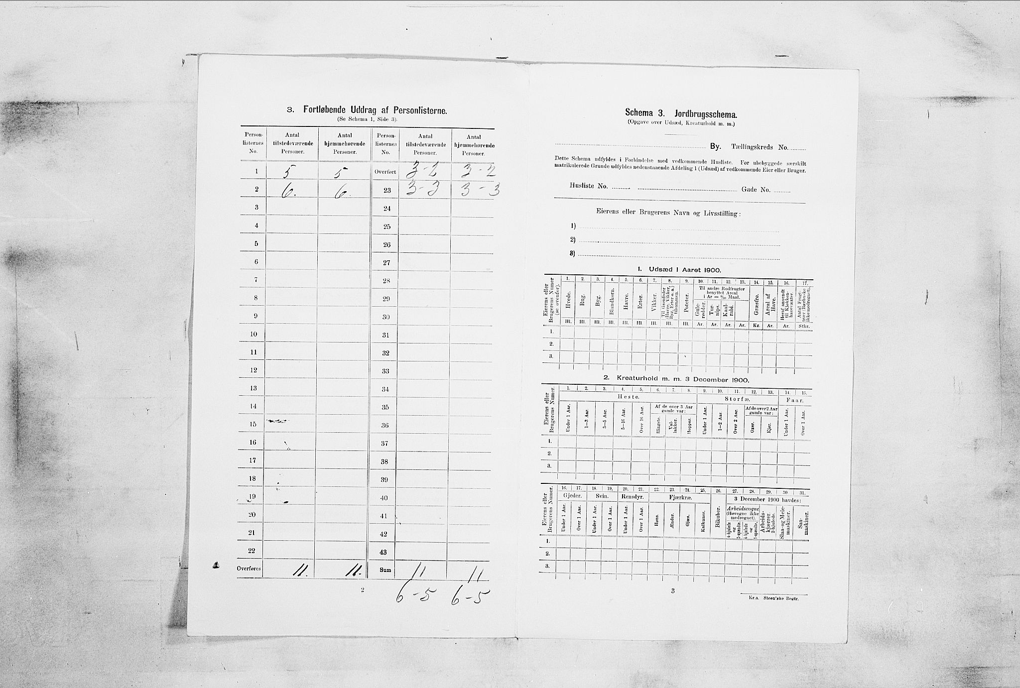 RA, 1900 census for Horten, 1900, p. 4423