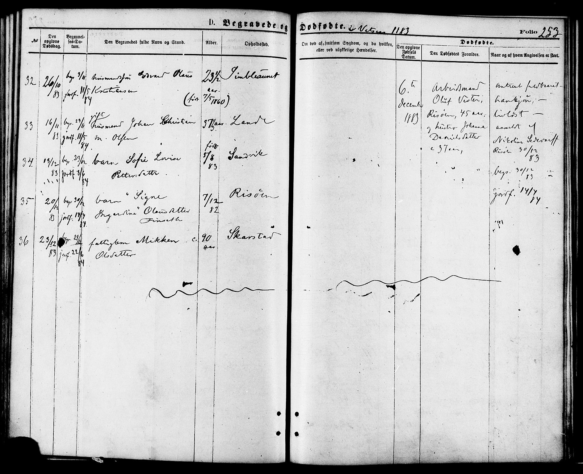 Ministerialprotokoller, klokkerbøker og fødselsregistre - Nordland, AV/SAT-A-1459/810/L0148: Parish register (official) no. 810A09 /1, 1874-1884, p. 253