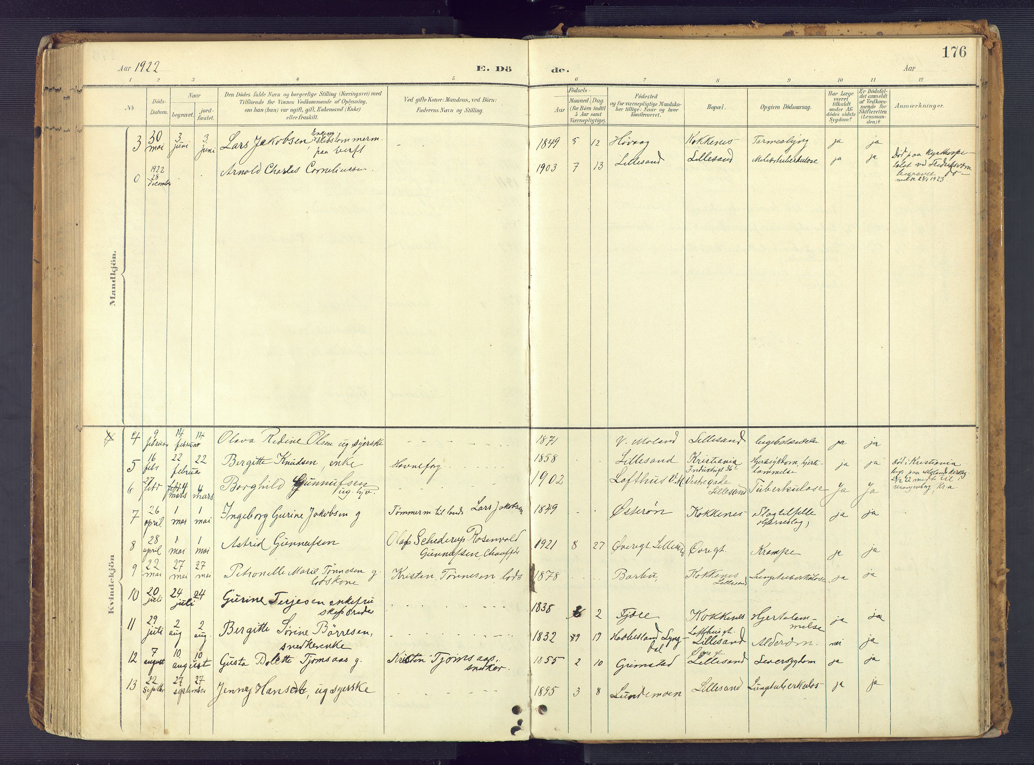 Vestre Moland sokneprestkontor, AV/SAK-1111-0046/F/Fa/Faa/L0002: Parish register (official) no. A 2, 1900-1926, p. 176