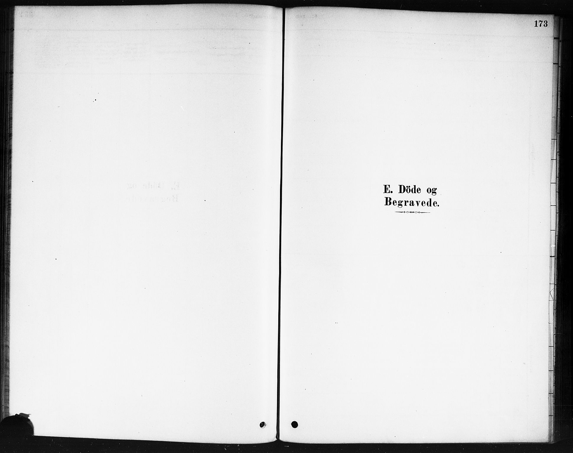 Våler prestekontor Kirkebøker, SAO/A-11083/F/Fb/L0001: Parish register (official) no. II 1, 1878-1896, p. 173