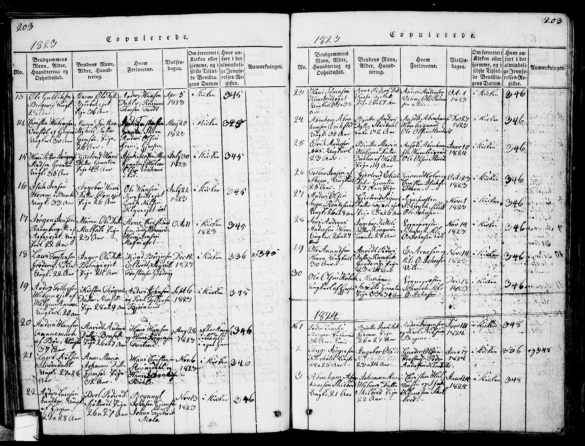 Solum kirkebøker, SAKO/A-306/G/Ga/L0001: Parish register (copy) no. I 1, 1814-1833, p. 203