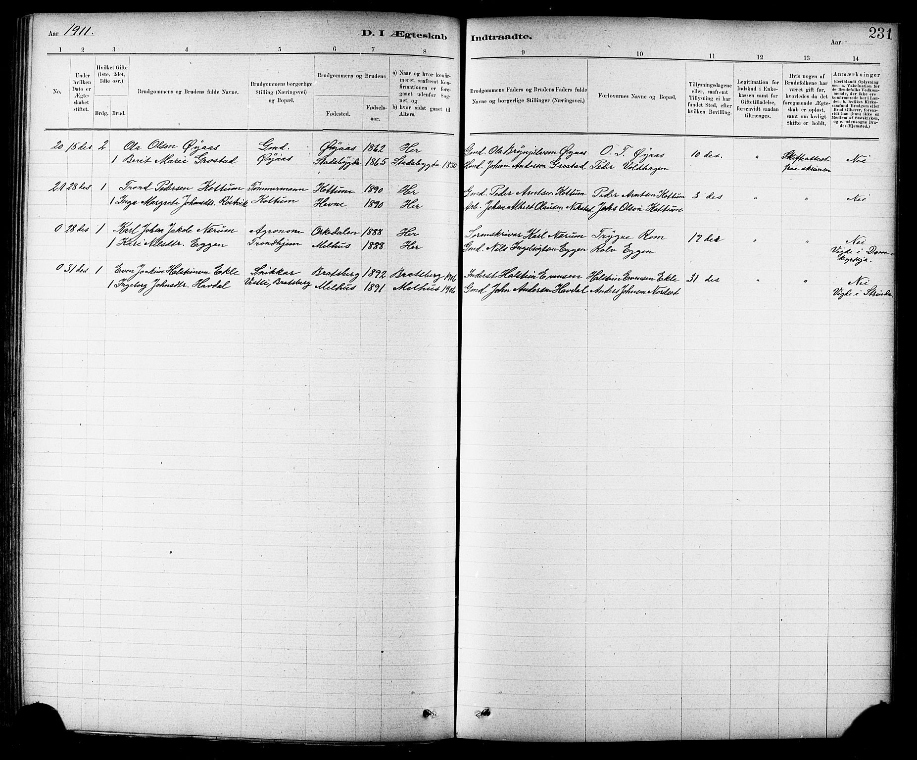 Ministerialprotokoller, klokkerbøker og fødselsregistre - Sør-Trøndelag, AV/SAT-A-1456/691/L1094: Parish register (copy) no. 691C05, 1879-1911, p. 231