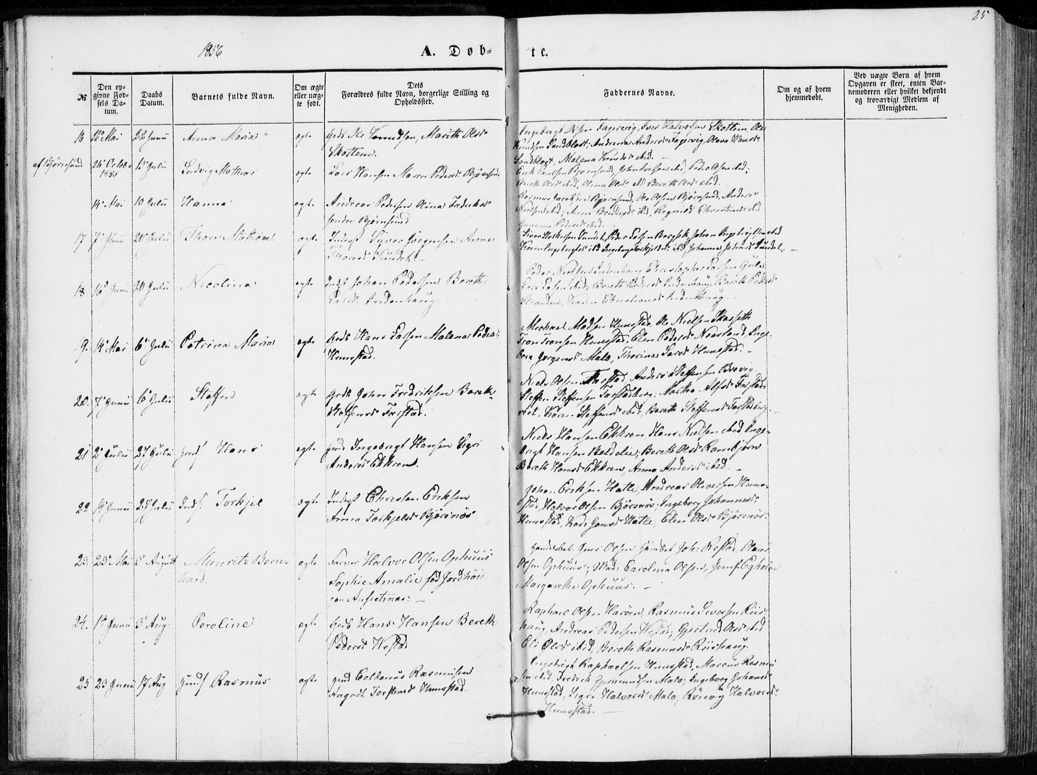 Ministerialprotokoller, klokkerbøker og fødselsregistre - Møre og Romsdal, AV/SAT-A-1454/566/L0767: Parish register (official) no. 566A06, 1852-1868, p. 25