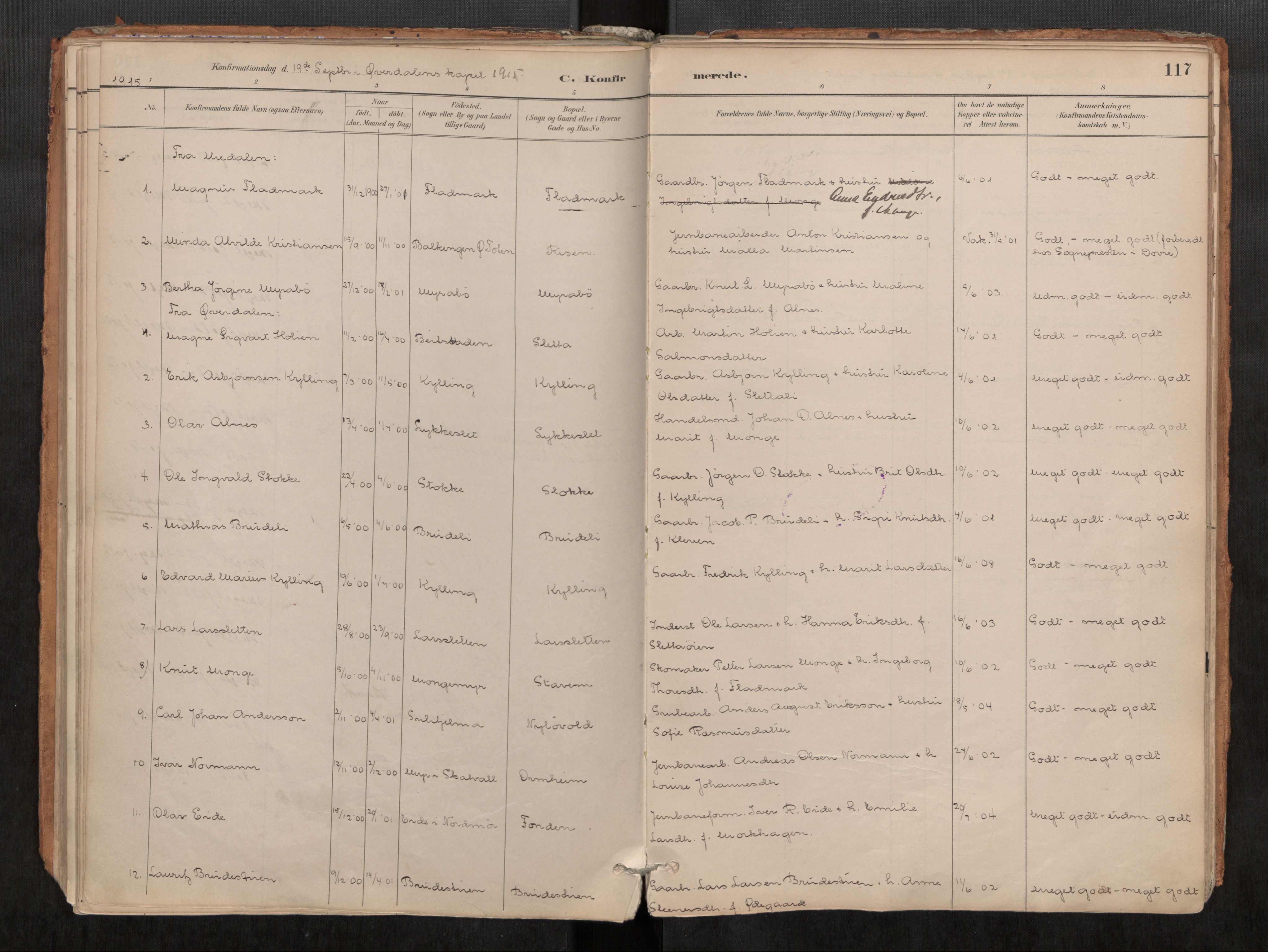 Ministerialprotokoller, klokkerbøker og fødselsregistre - Møre og Romsdal, SAT/A-1454/546/L0599: Parish register (official) no. 546A03, 1882-1920, p. 117