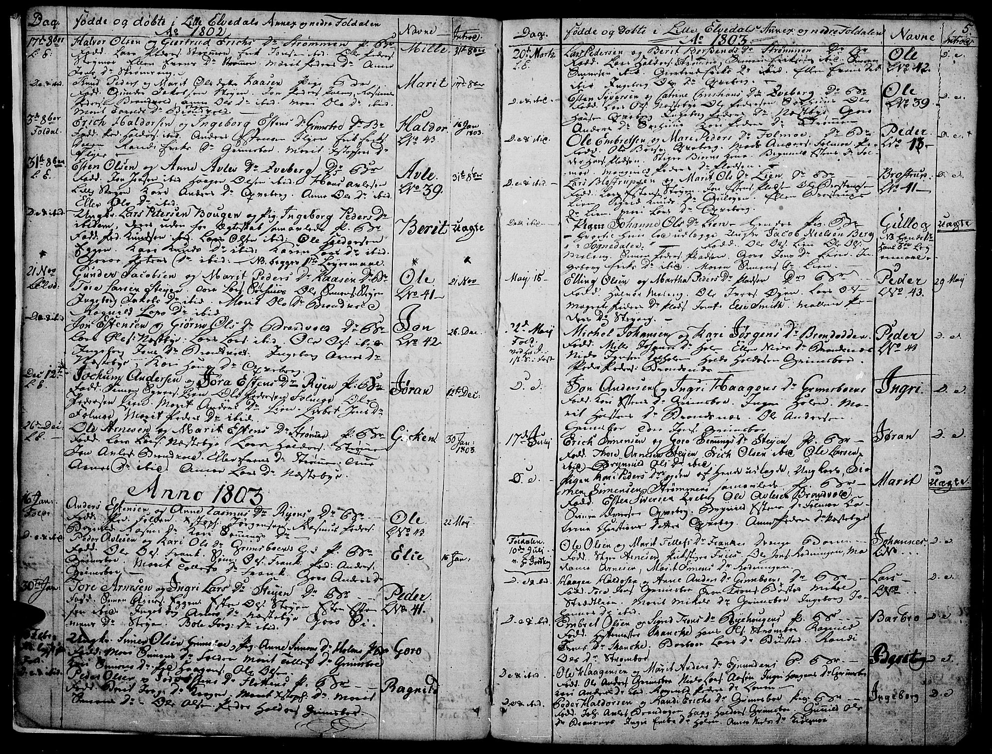 Tynset prestekontor, SAH/PREST-058/H/Ha/Haa/L0016: Parish register (official) no. 16, 1801-1814, p. 5