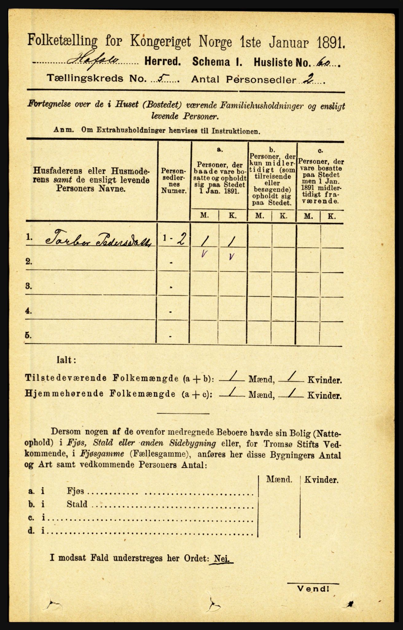 RA, 1891 census for 1425 Hafslo, 1891, p. 1951