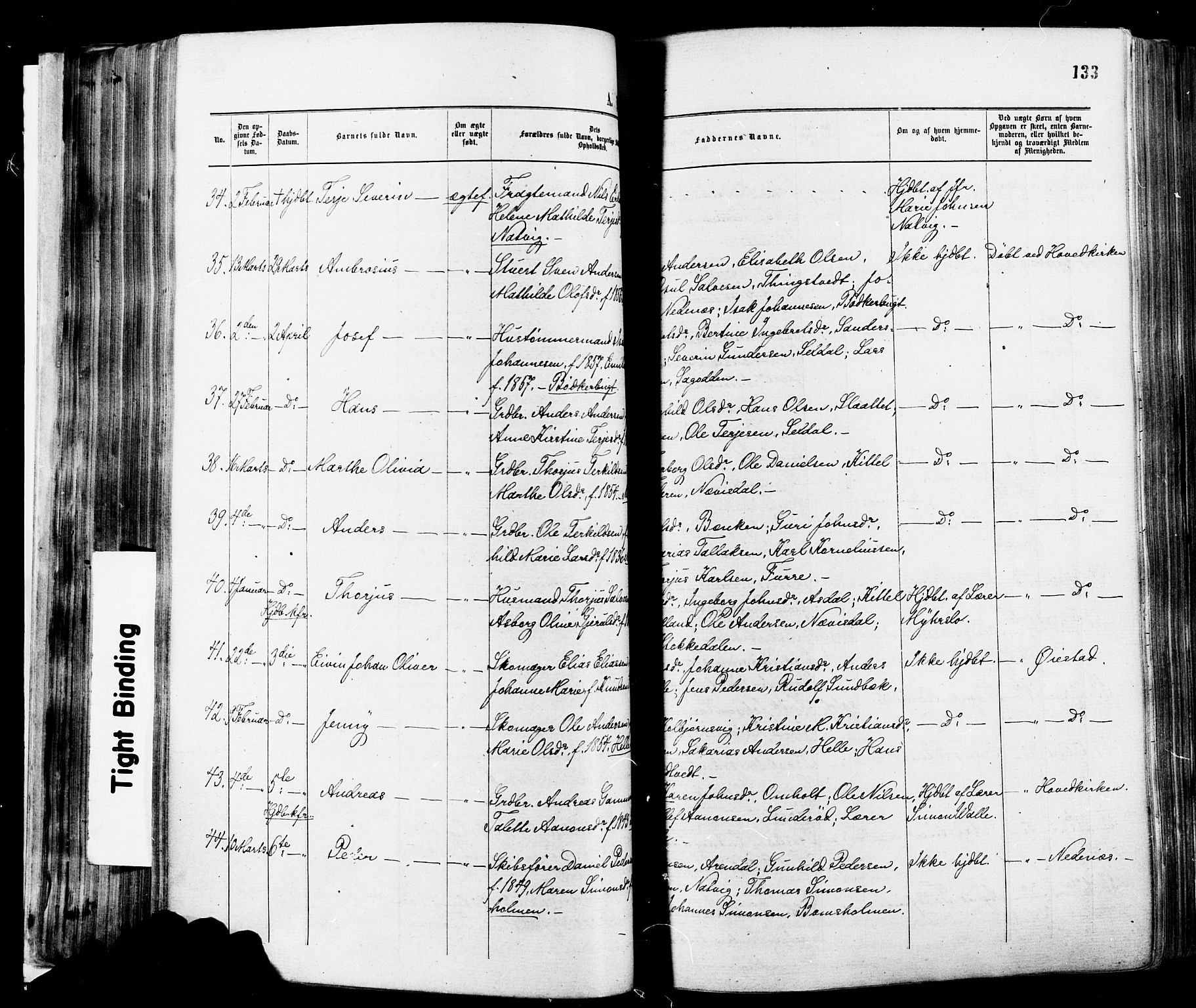 Øyestad sokneprestkontor, AV/SAK-1111-0049/F/Fa/L0016: Parish register (official) no. A 16, 1874-1886, p. 133