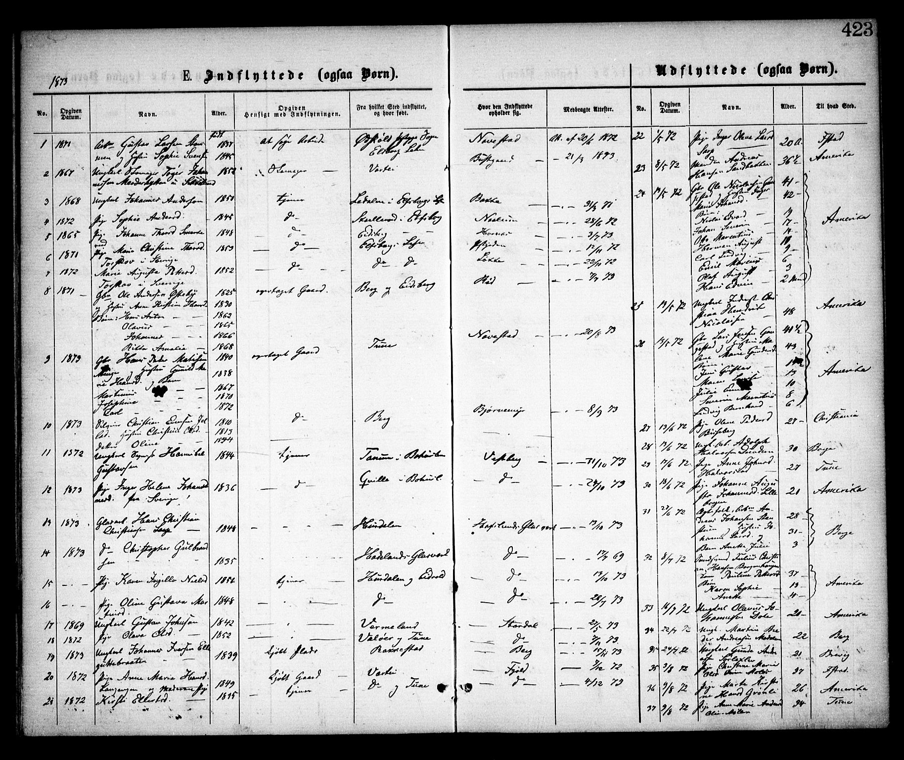 Skjeberg prestekontor Kirkebøker, SAO/A-10923/F/Fa/L0008: Parish register (official) no. I 8, 1869-1885, p. 423