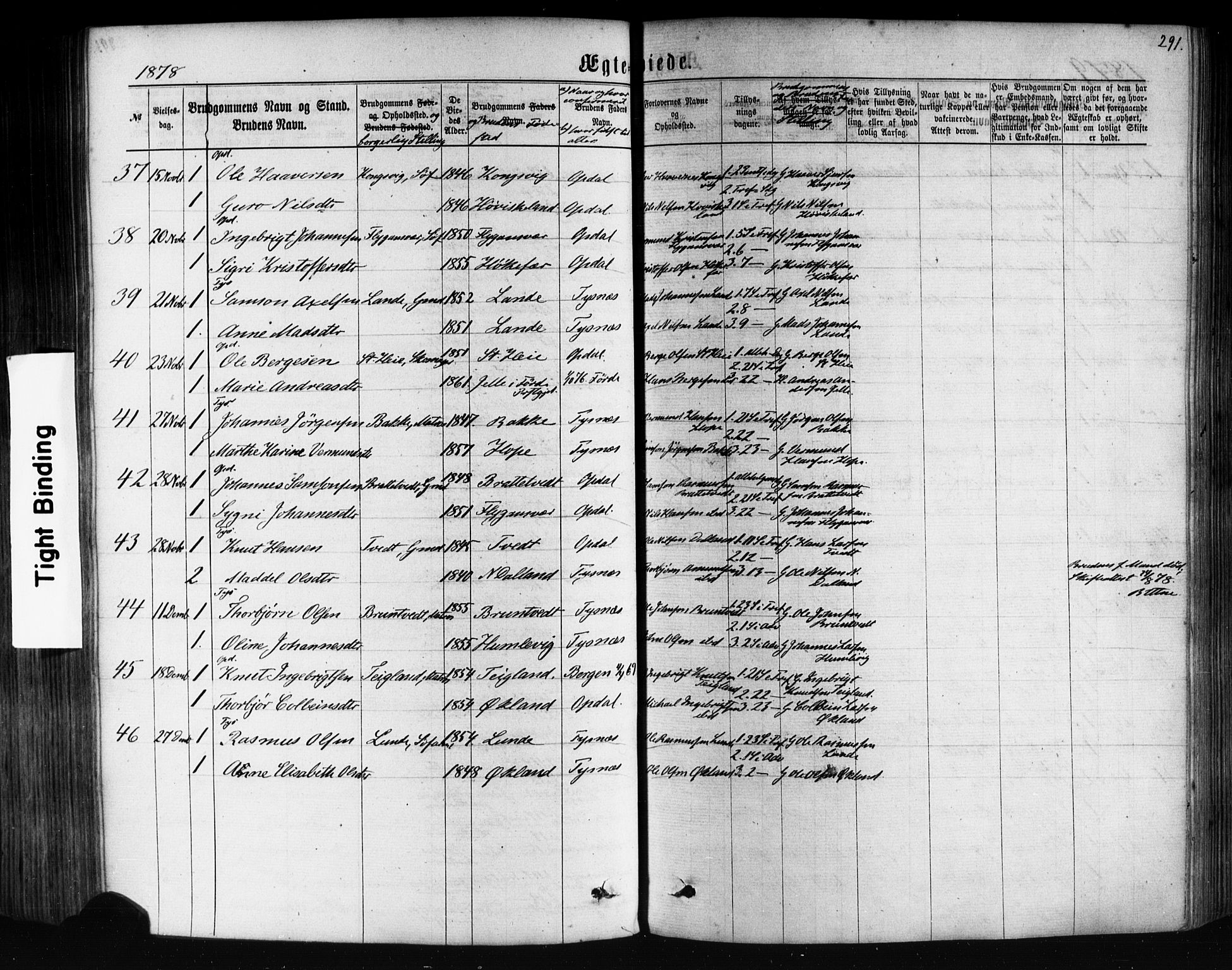 Tysnes sokneprestembete, AV/SAB-A-78601/H/Haa: Parish register (official) no. A 12, 1872-1886, p. 291