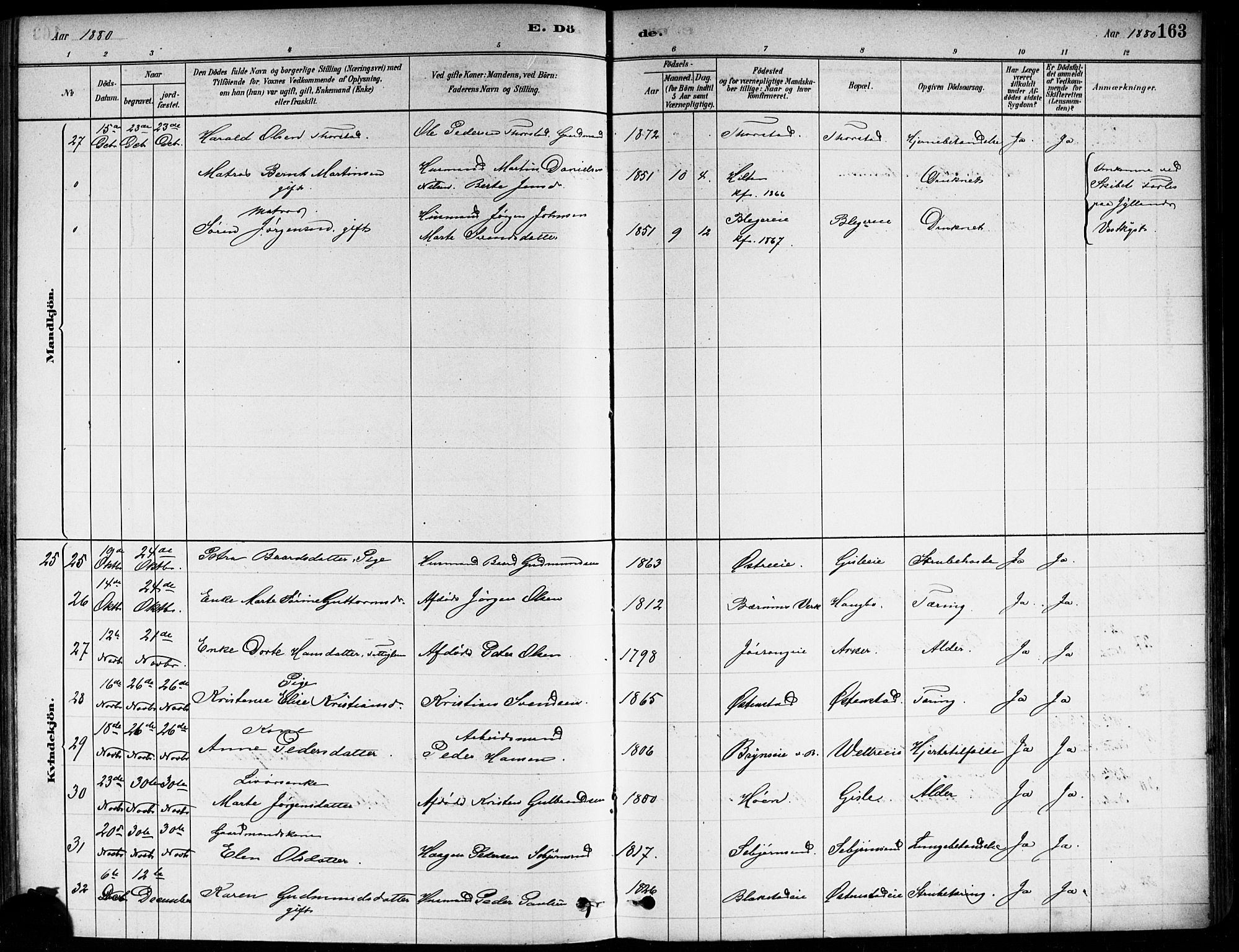 Asker prestekontor Kirkebøker, AV/SAO-A-10256a/F/Fa/L0013: Parish register (official) no. I 13, 1879-1896, p. 163