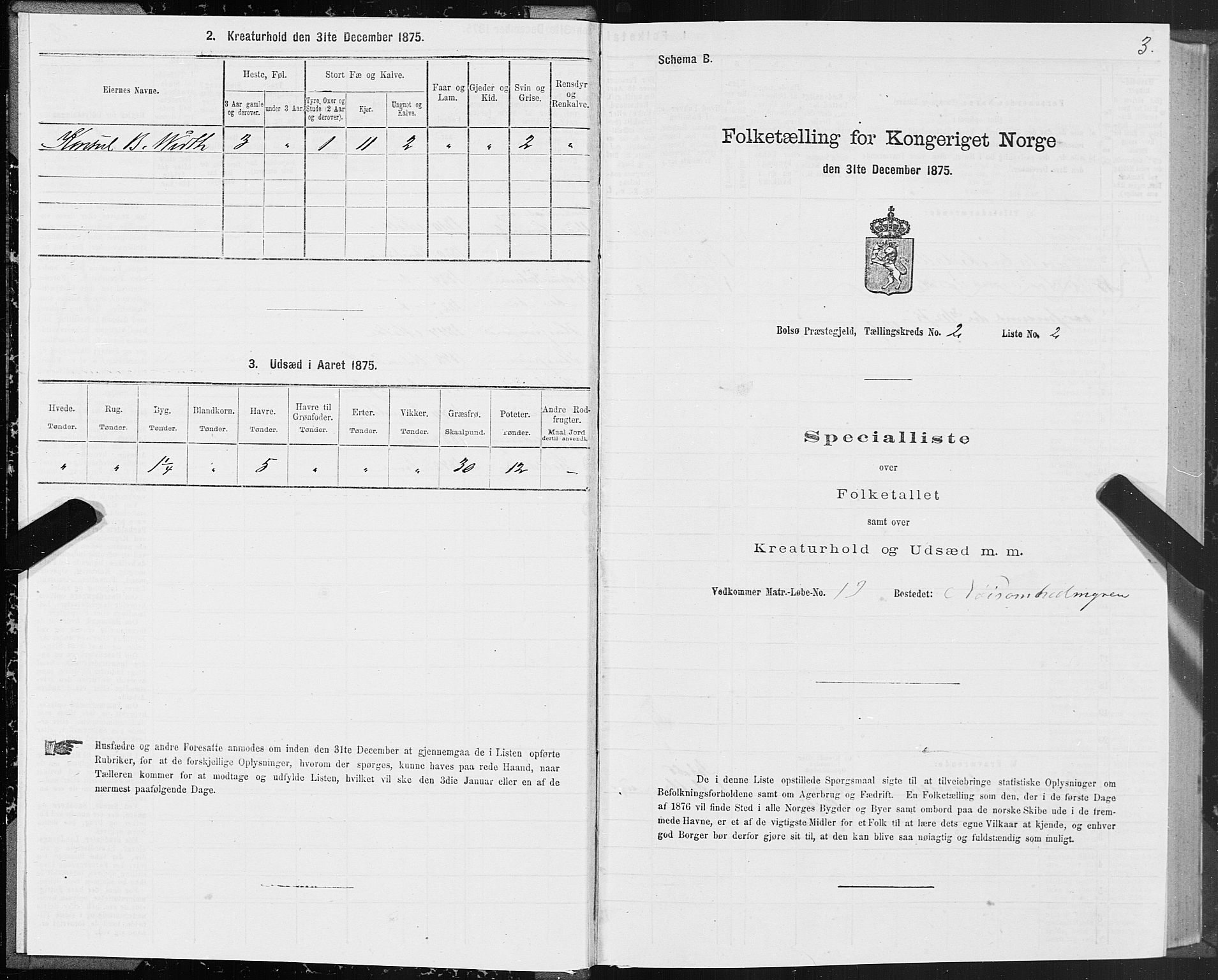 SAT, 1875 census for 1544P Bolsøy, 1875, p. 2003