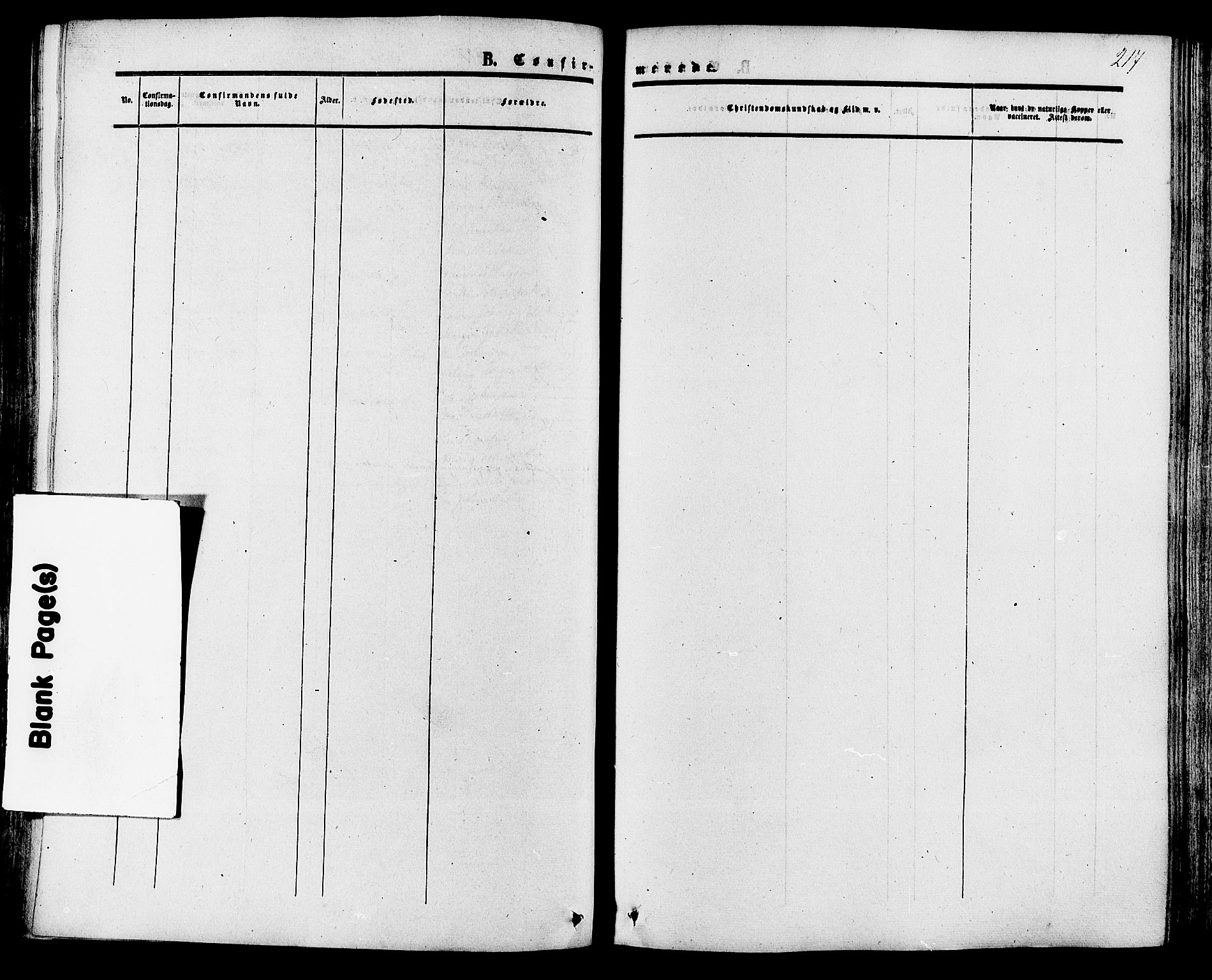 Tinn kirkebøker, SAKO/A-308/F/Fa/L0006: Parish register (official) no. I 6, 1857-1878, p. 217