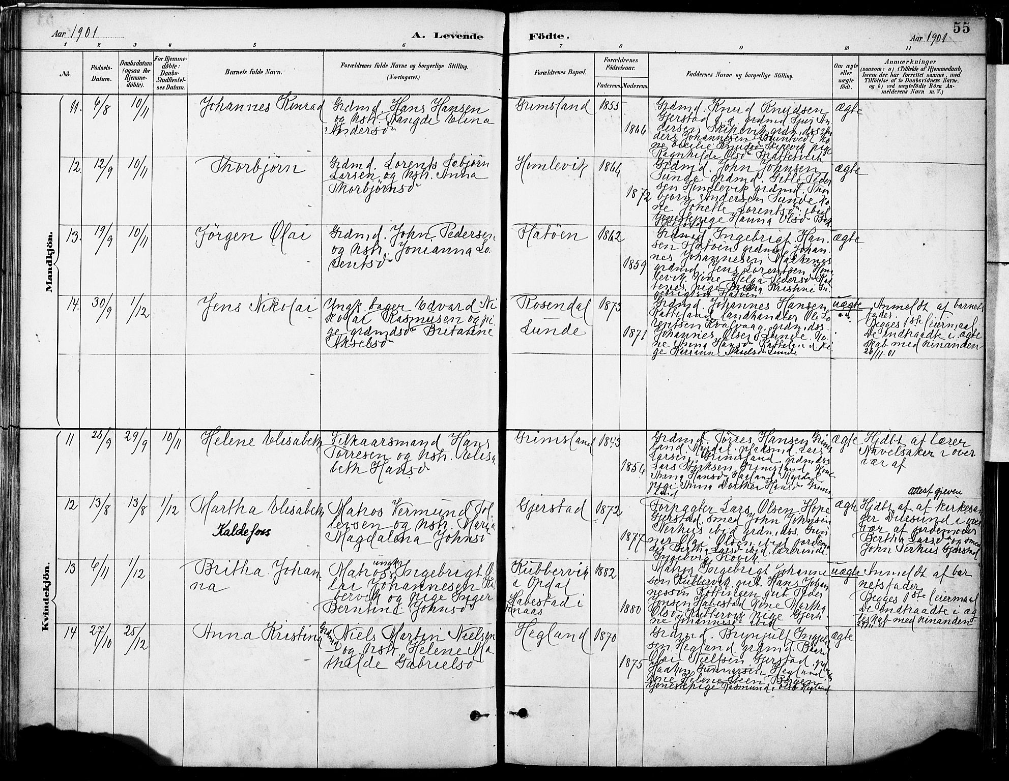 Tysnes sokneprestembete, AV/SAB-A-78601/H/Haa: Parish register (official) no. B 1, 1887-1906, p. 55