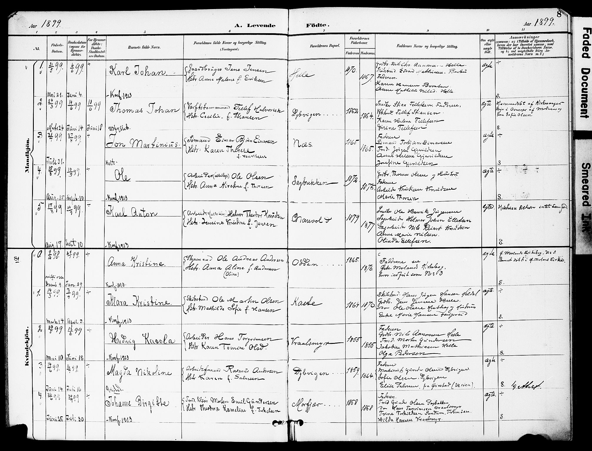 Austre Moland sokneprestkontor, SAK/1111-0001/F/Fa/Fab/L0002: Parish register (official) no. A 2, 1894-1919, p. 8