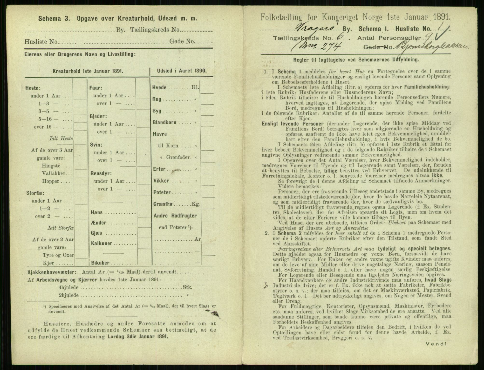 RA, 1891 census for 0801 Kragerø, 1891, p. 476