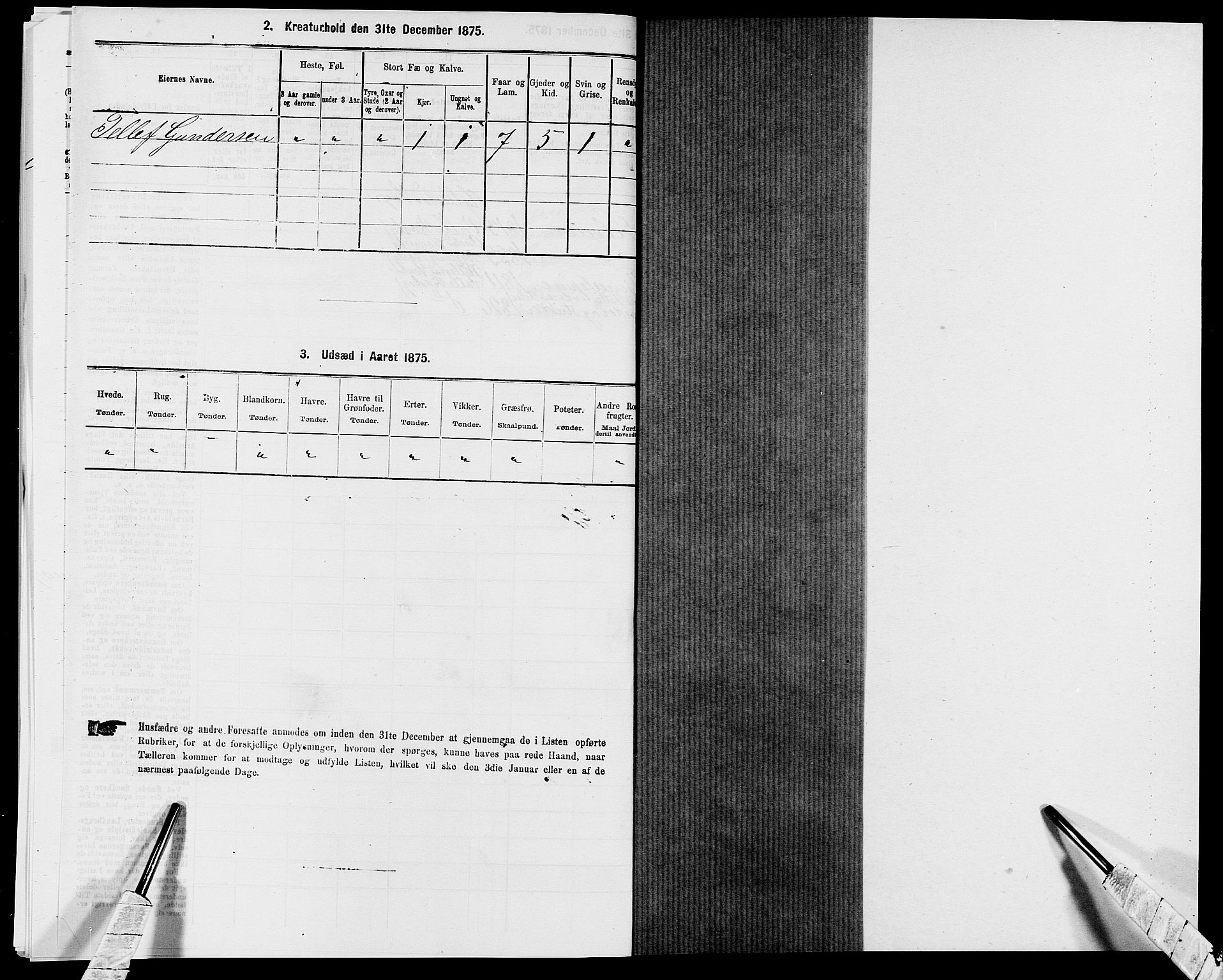 SAK, 1875 census for 0940P Valle, 1875, p. 263