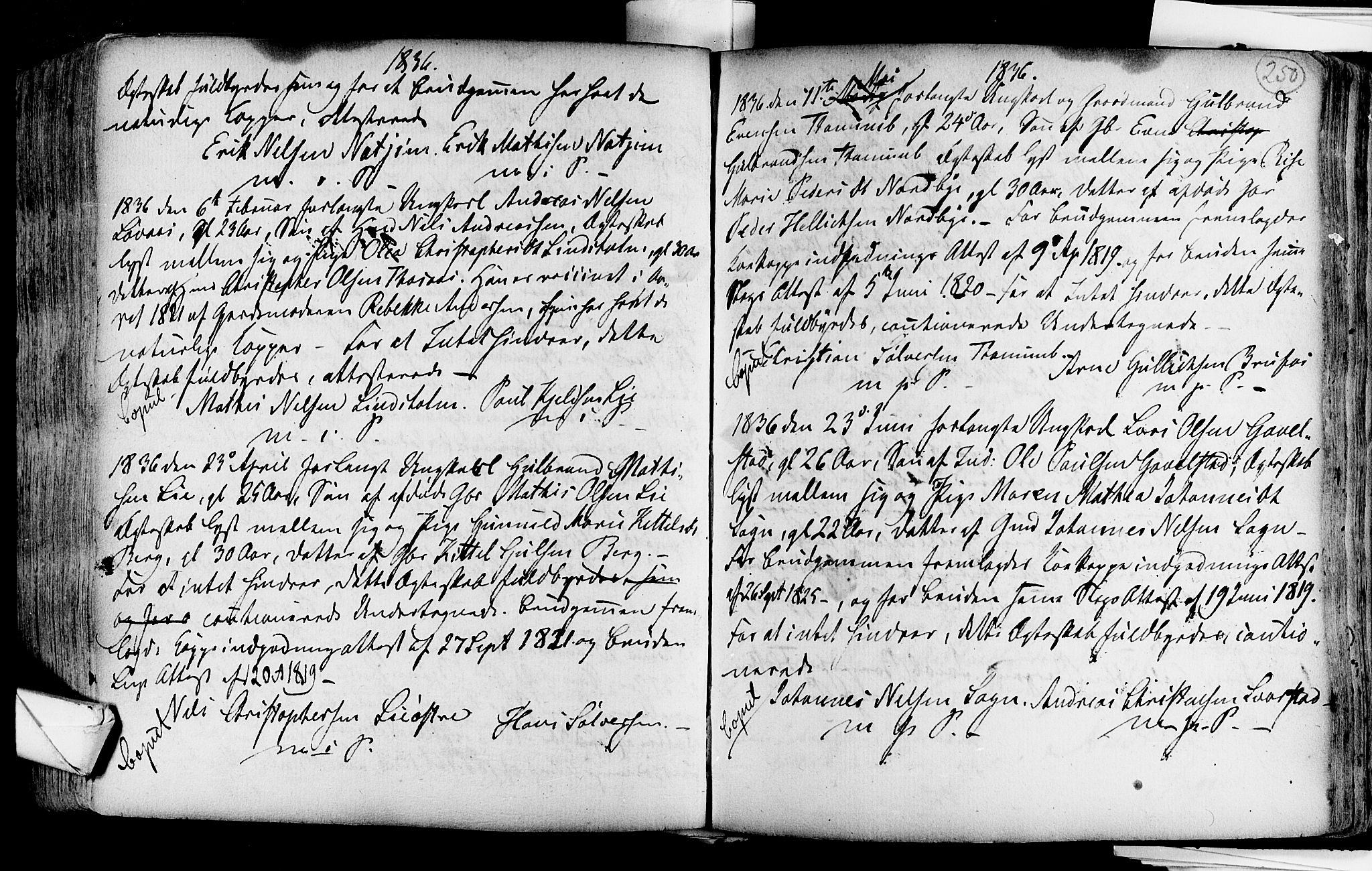 Lardal kirkebøker, AV/SAKO-A-350/F/Fa/L0004: Parish register (official) no. i 4, 1733-1815, p. 250