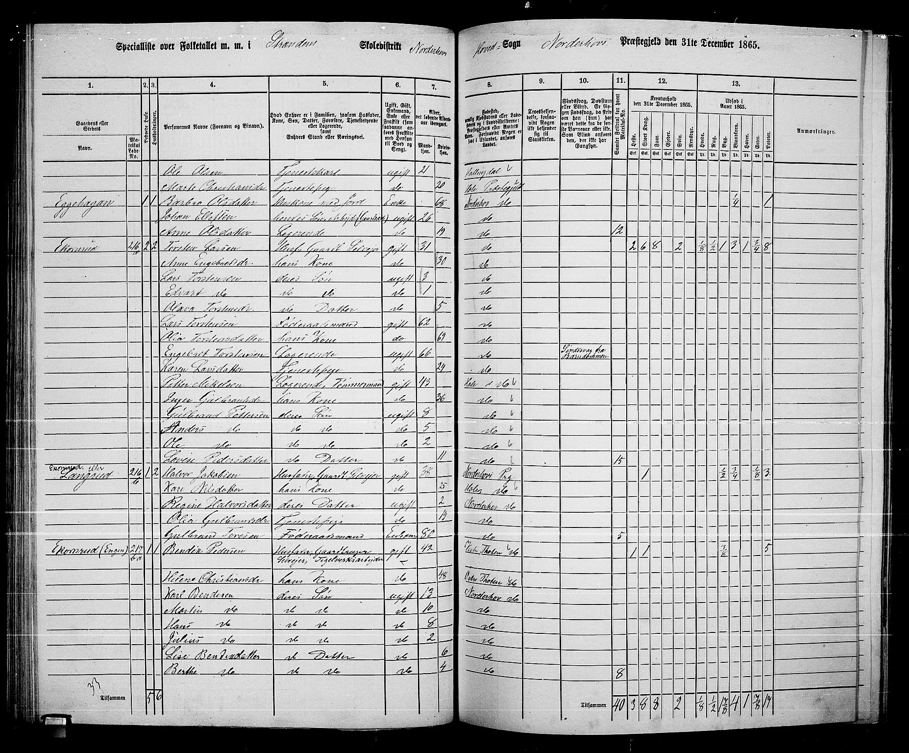 RA, 1865 census for Norderhov/Norderhov, Haug og Lunder, 1865, p. 153