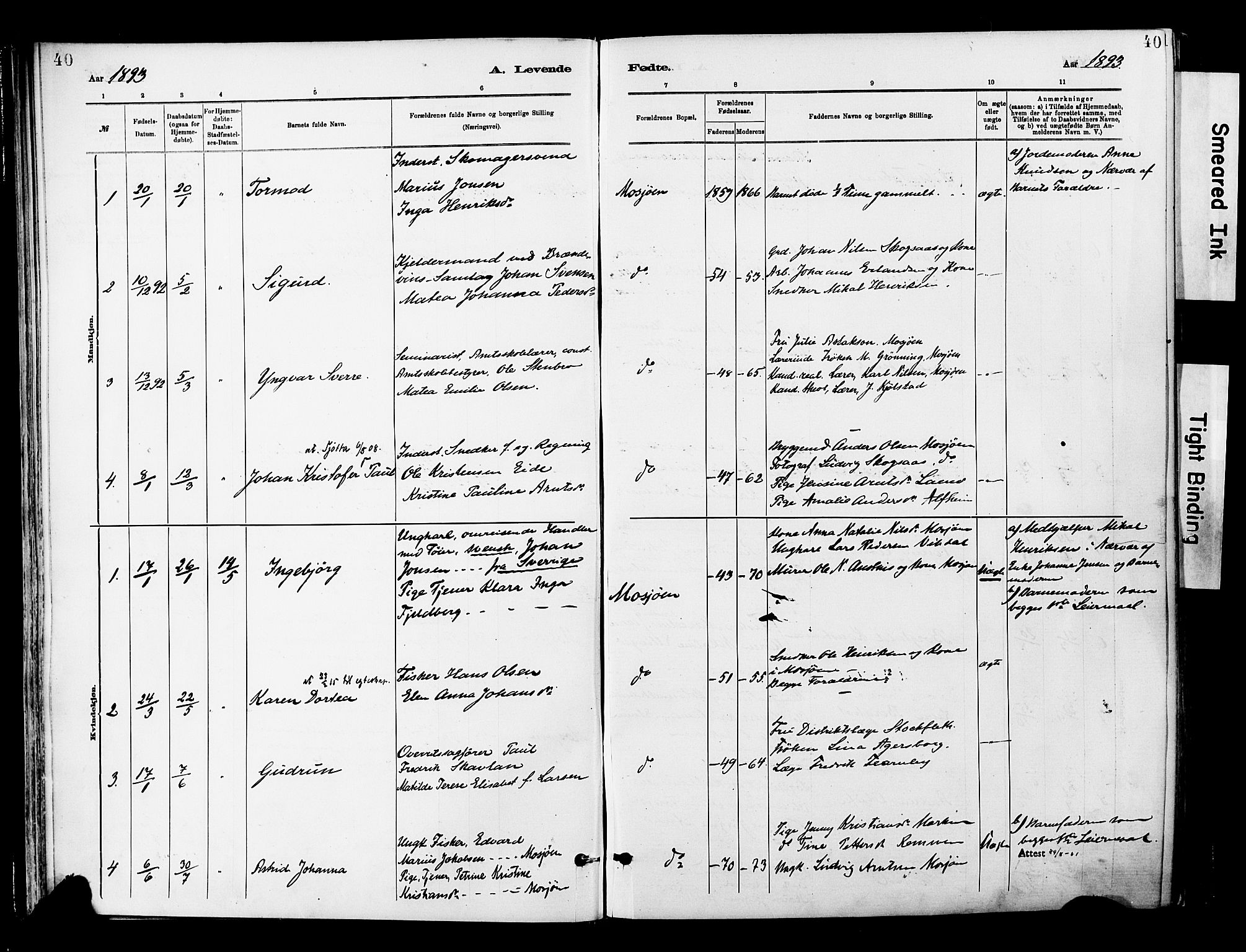 Ministerialprotokoller, klokkerbøker og fødselsregistre - Nordland, SAT/A-1459/820/L0296: Parish register (official) no. 820A17, 1880-1903, p. 40