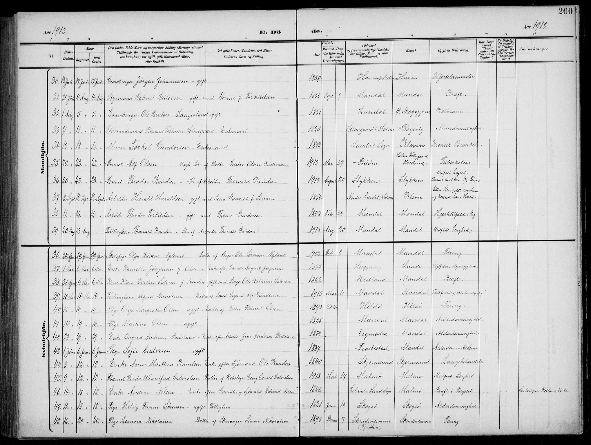 Mandal sokneprestkontor, AV/SAK-1111-0030/F/Fb/Fba/L0012: Parish register (copy) no. B 6, 1899-1918, p. 260