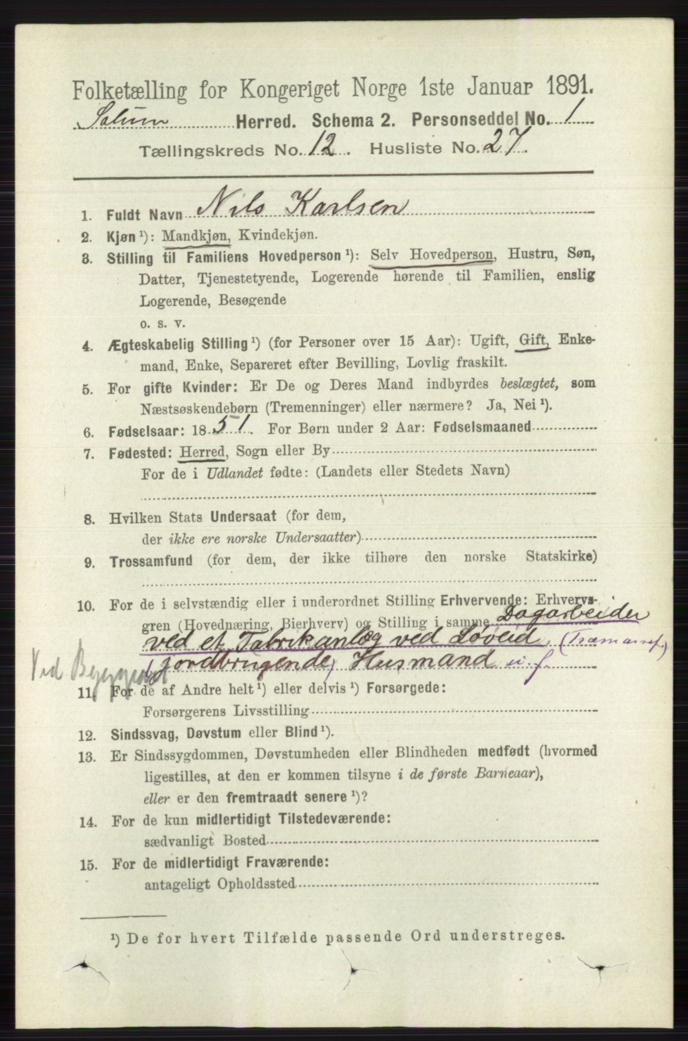 RA, 1891 census for 0818 Solum, 1891, p. 5738