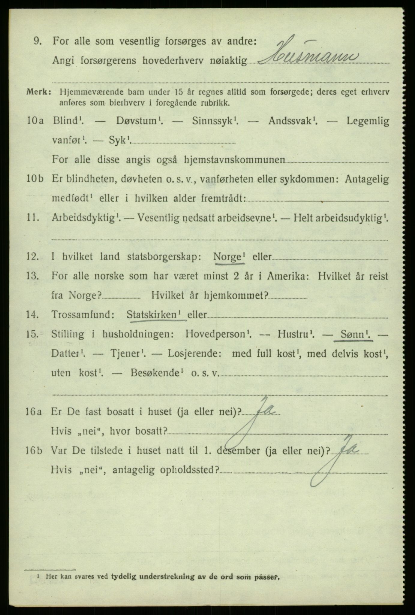 SAB, 1920 census for Lærdal, 1920, p. 4333