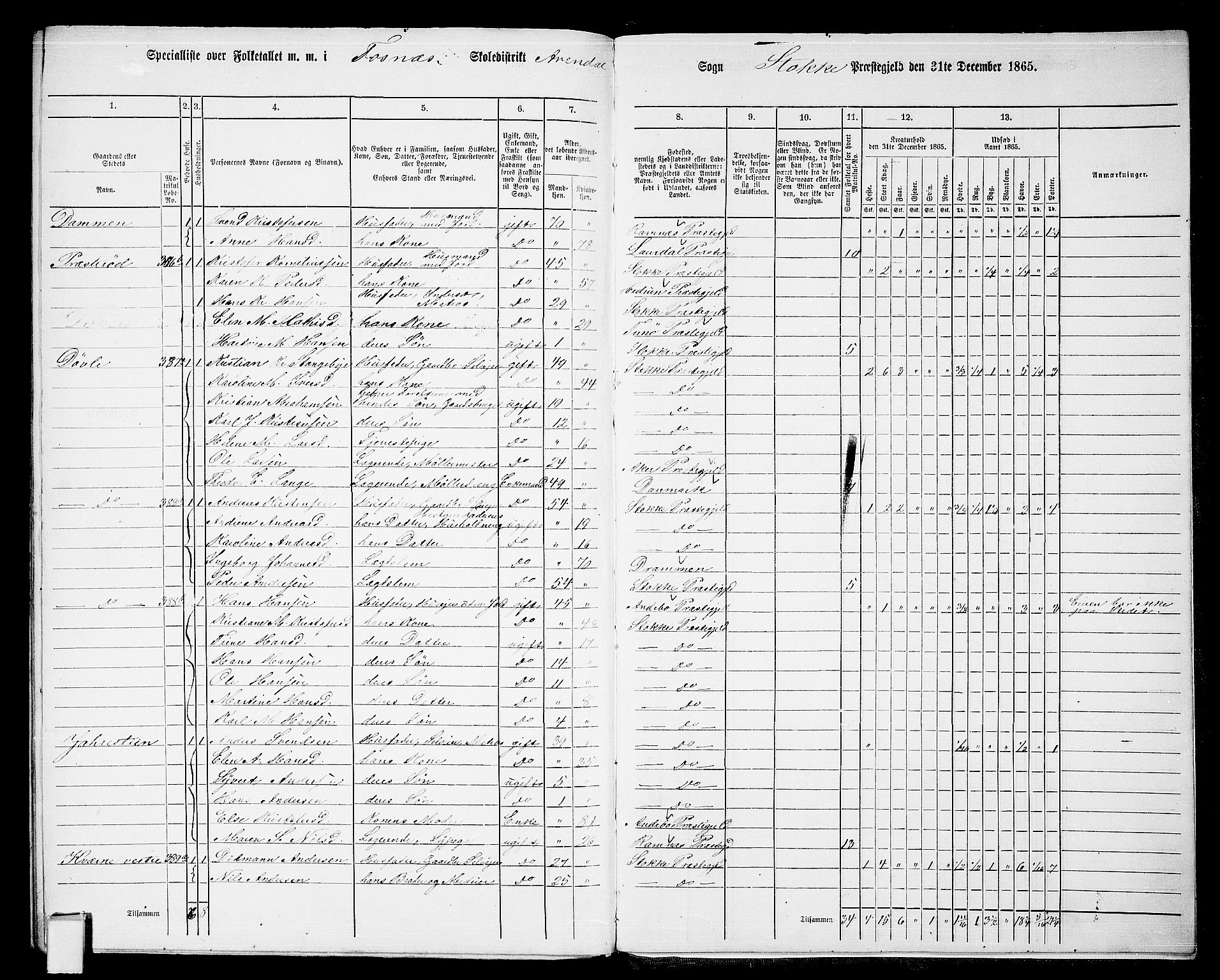 RA, 1865 census for Stokke, 1865, p. 191