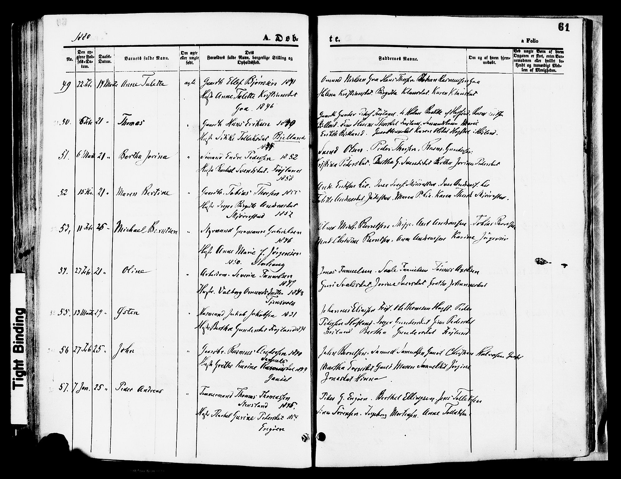 Hetland sokneprestkontor, AV/SAST-A-101826/30/30BA/L0008: Parish register (official) no. A 8, 1877-1884, p. 61