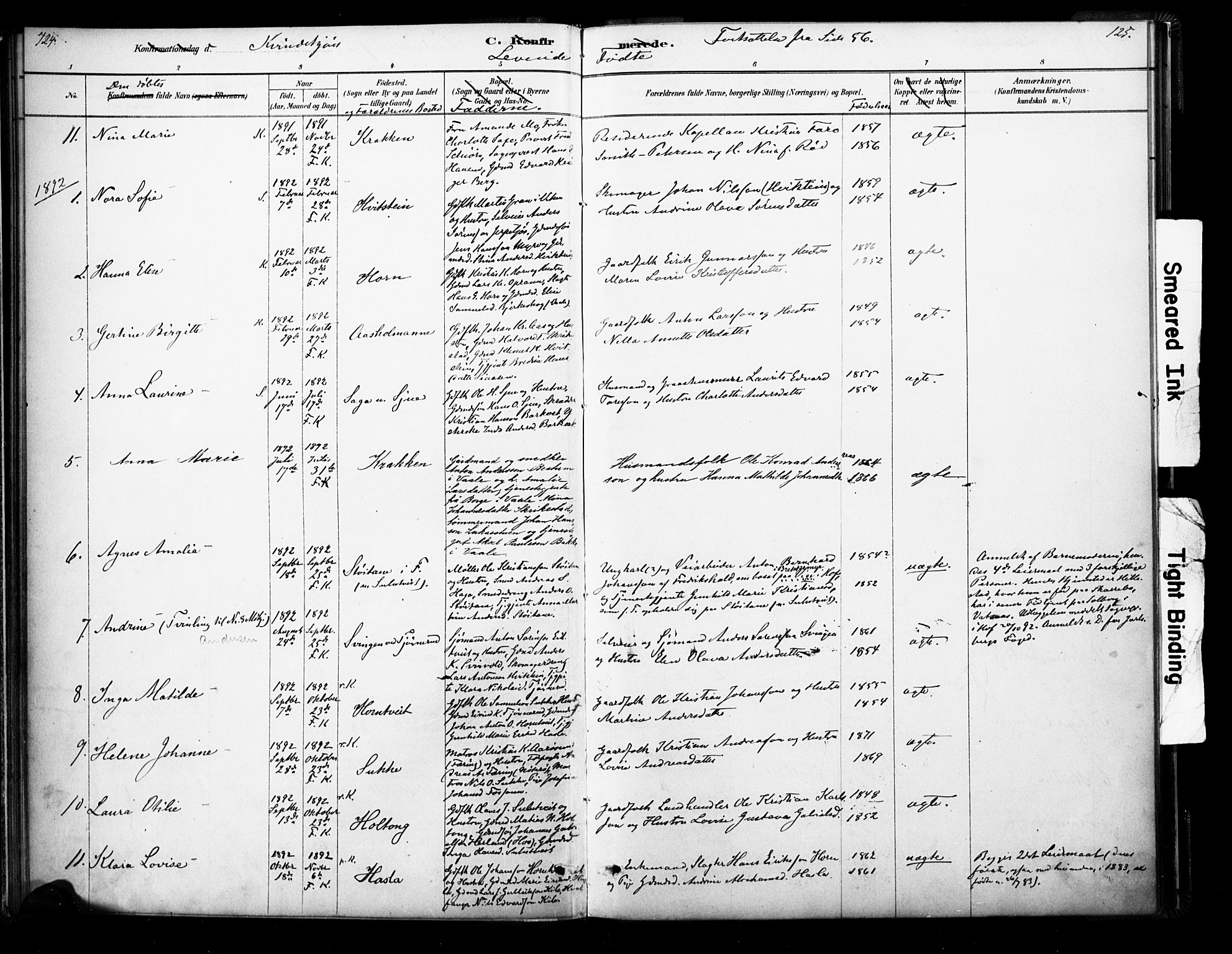 Ramnes kirkebøker, AV/SAKO-A-314/F/Fb/L0001: Parish register (official) no. II 1, 1878-1894, p. 124-125