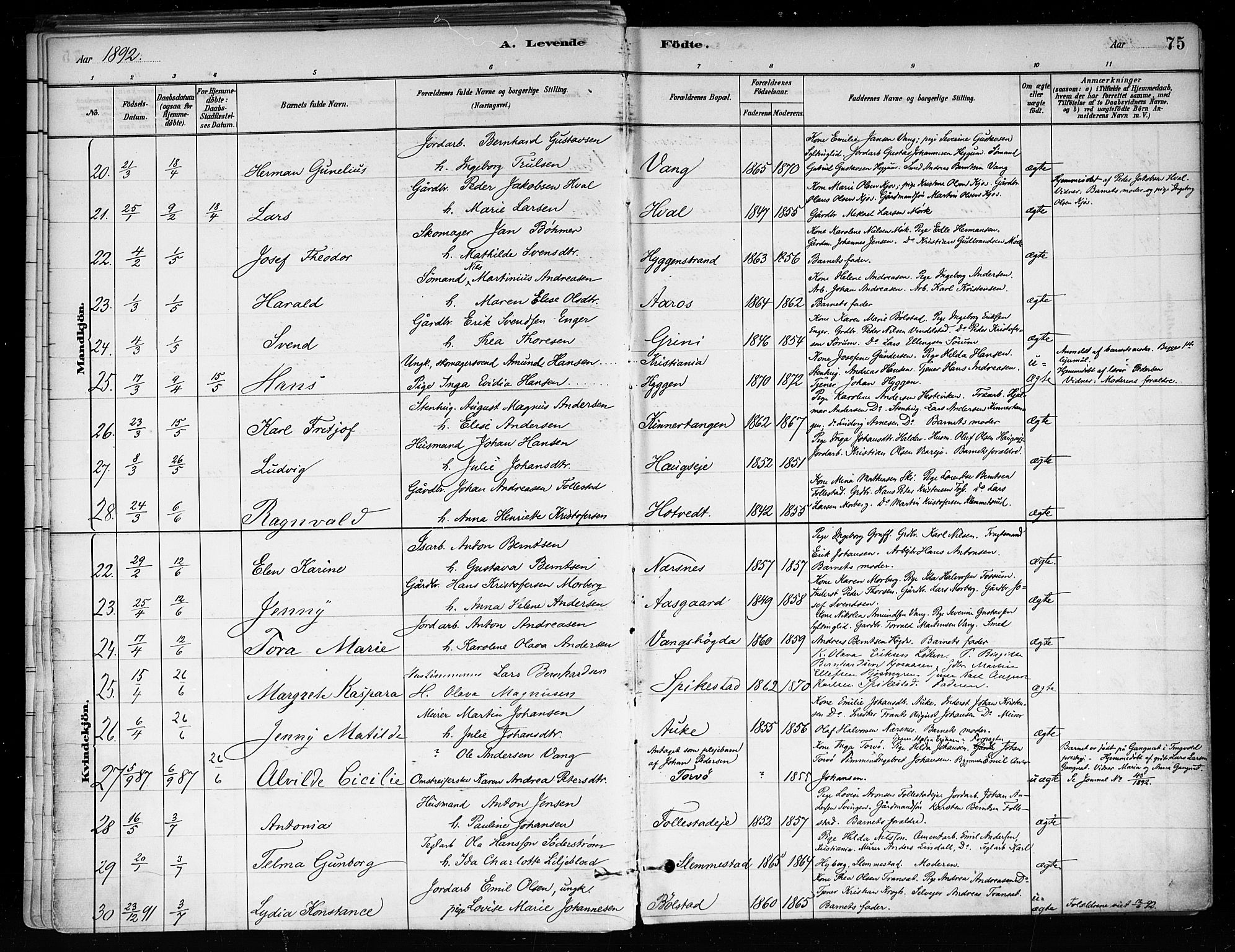 Røyken kirkebøker, SAKO/A-241/F/Fa/L0008: Parish register (official) no. 8, 1880-1897, p. 75